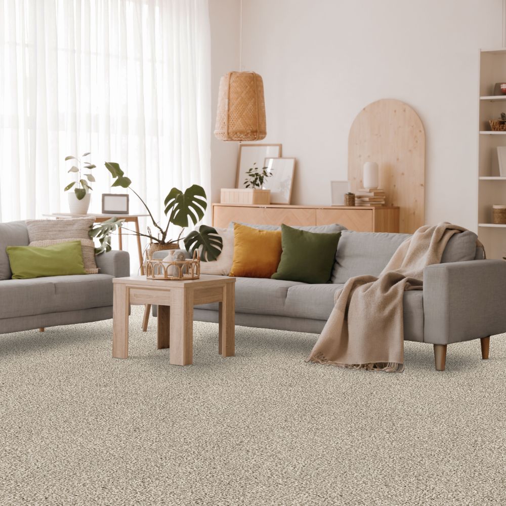 STAINMASTER SS047-L007-S0808 Carpet-Samples - View #5