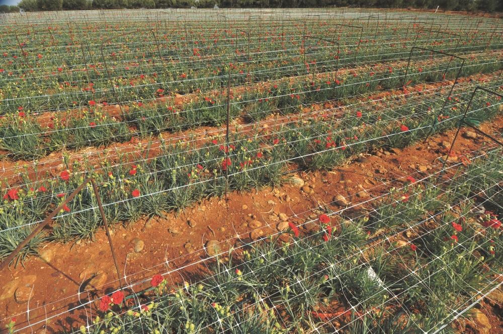 Tenax 58012511US Temporary-Fencing - View #4