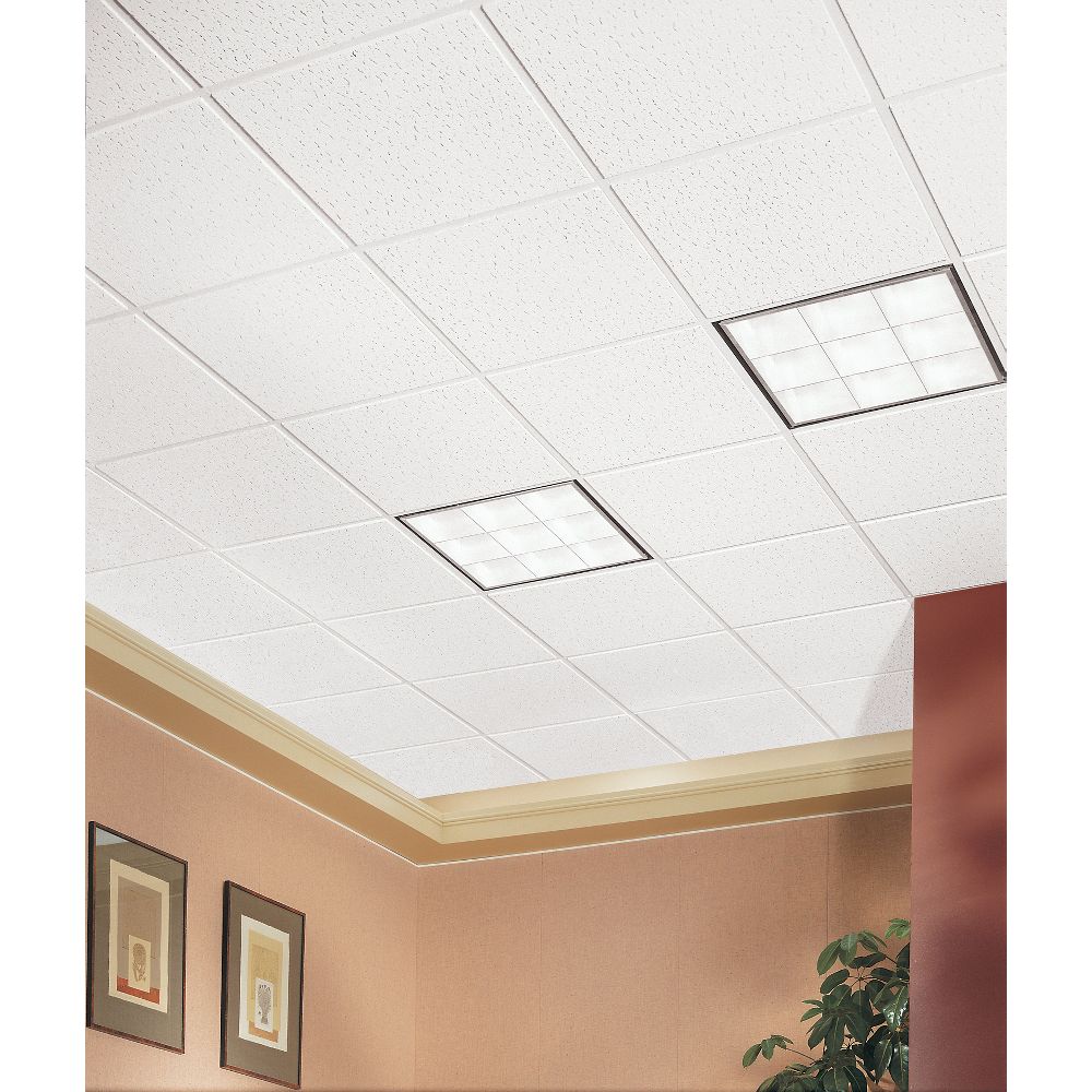Armstrong Ceilings 2-ft x 2-ft Fissured White Mineral Fiber Drop Ceiling Tile (16-Pack, 64-sq ft / Case)
