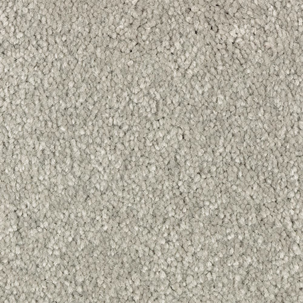 STAINMASTER STP66-15-L007 Serenity Stride I Smoke Gray 50-oz sq yard Polyester Textured Indoor Carpet