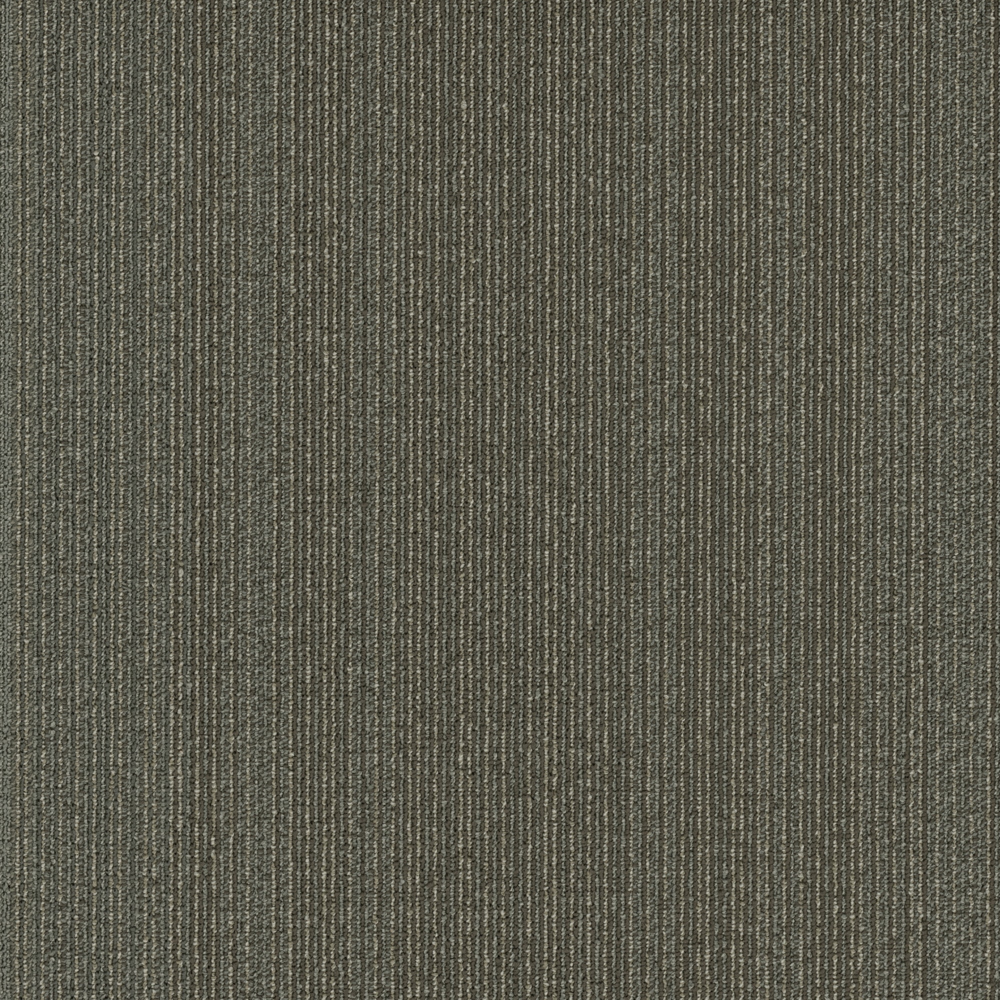 Shaw 7P0UW00500 Stavya 24-in x 24-in Inspire Gray Commercial Adhesive Indoor Carpet Tile ( 80-sq ft )
