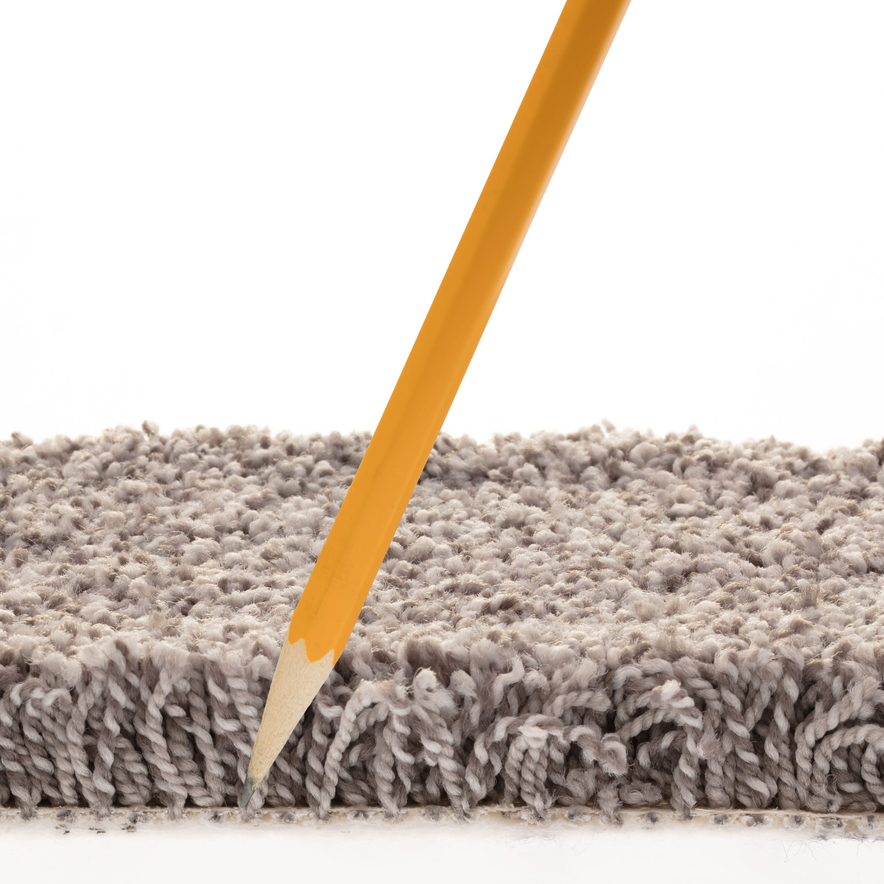 STAINMASTER 7L879 - 540 - SAMP Carpet-Samples - View #7