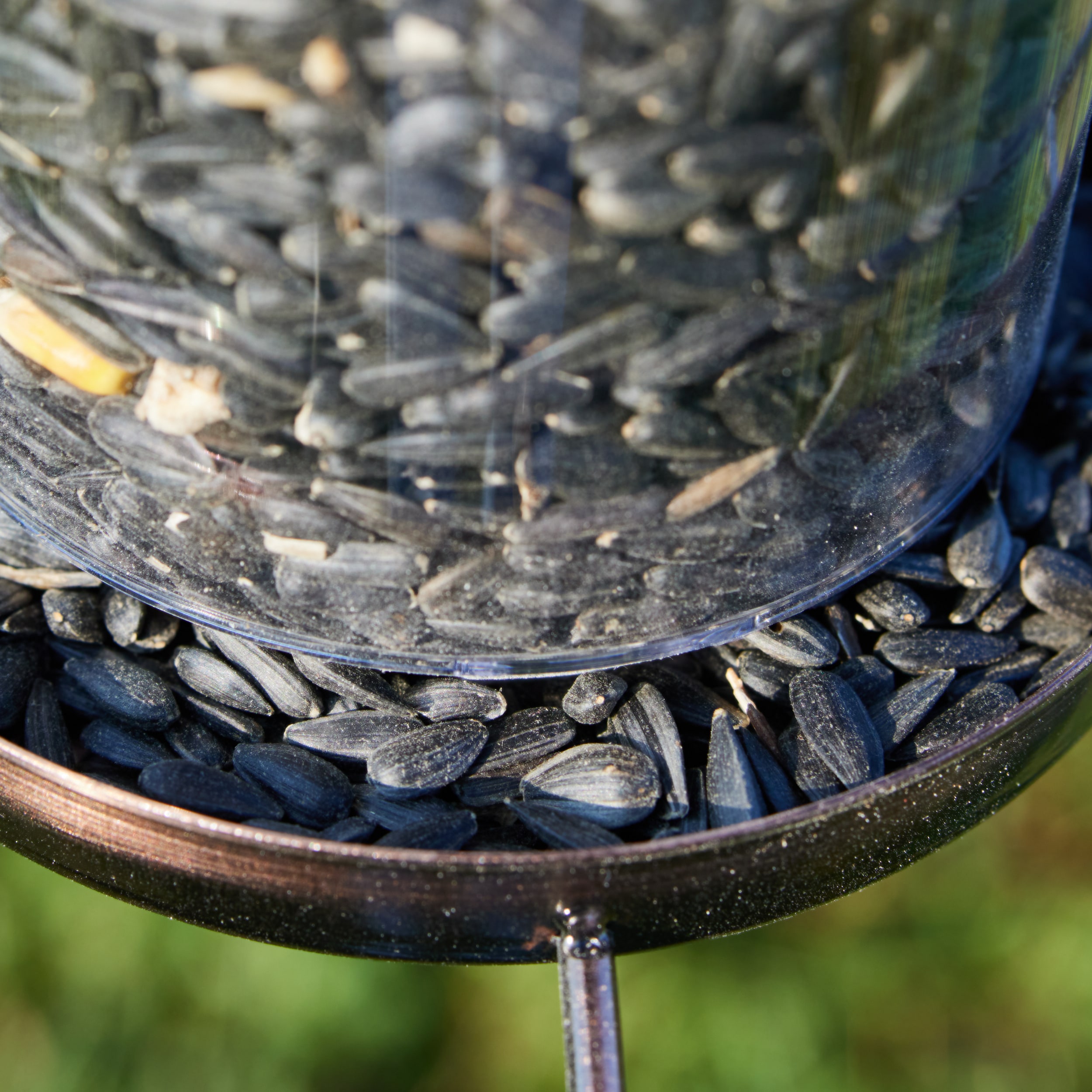 National Audubon Society 009458 Bird-Squirrel-Food - View #3
