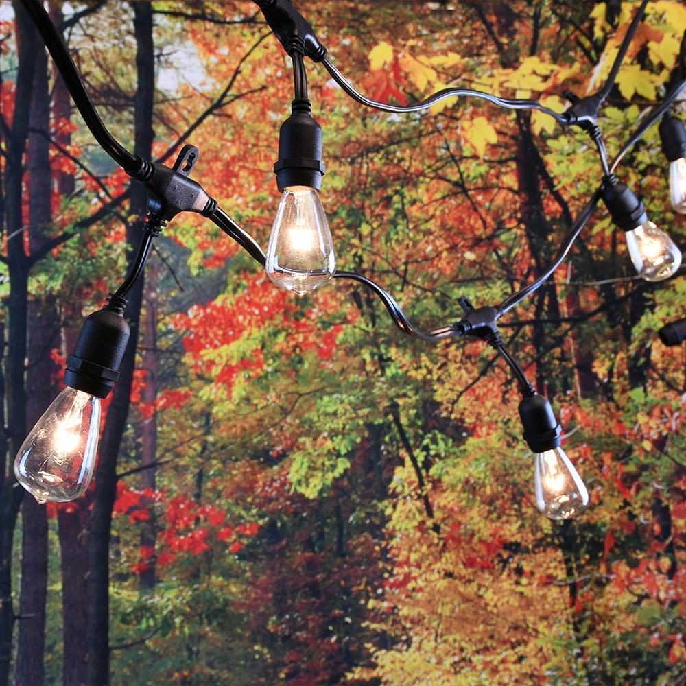 LumaBase 39401 Patio-String-Lights - View #5