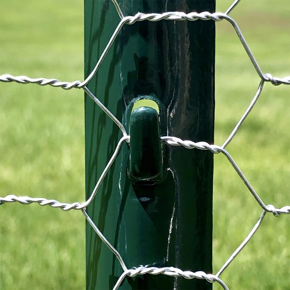 Fence of Chicken Net in Metal with Barbed Wire Stock Image - Image of  linkage, mesh: 230268519
