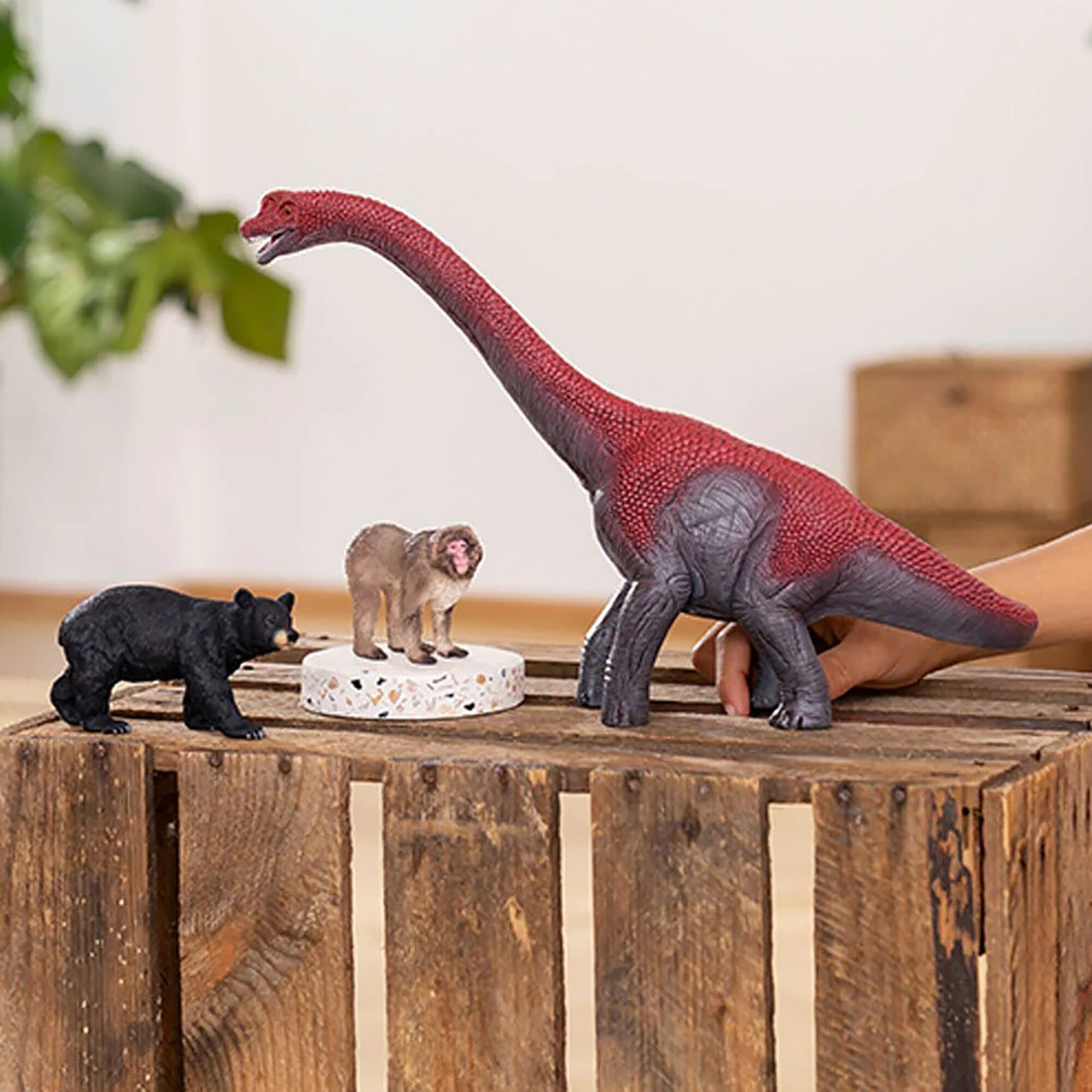 schleich G4059433732053 Play-Toys - View #6