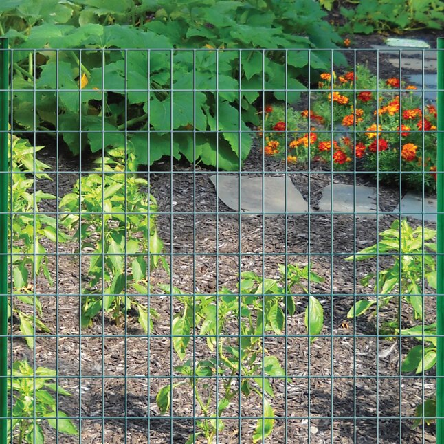 Garden Craft 50 Ft X 3 Gauge Green, Pvc Garden Fence Roll
