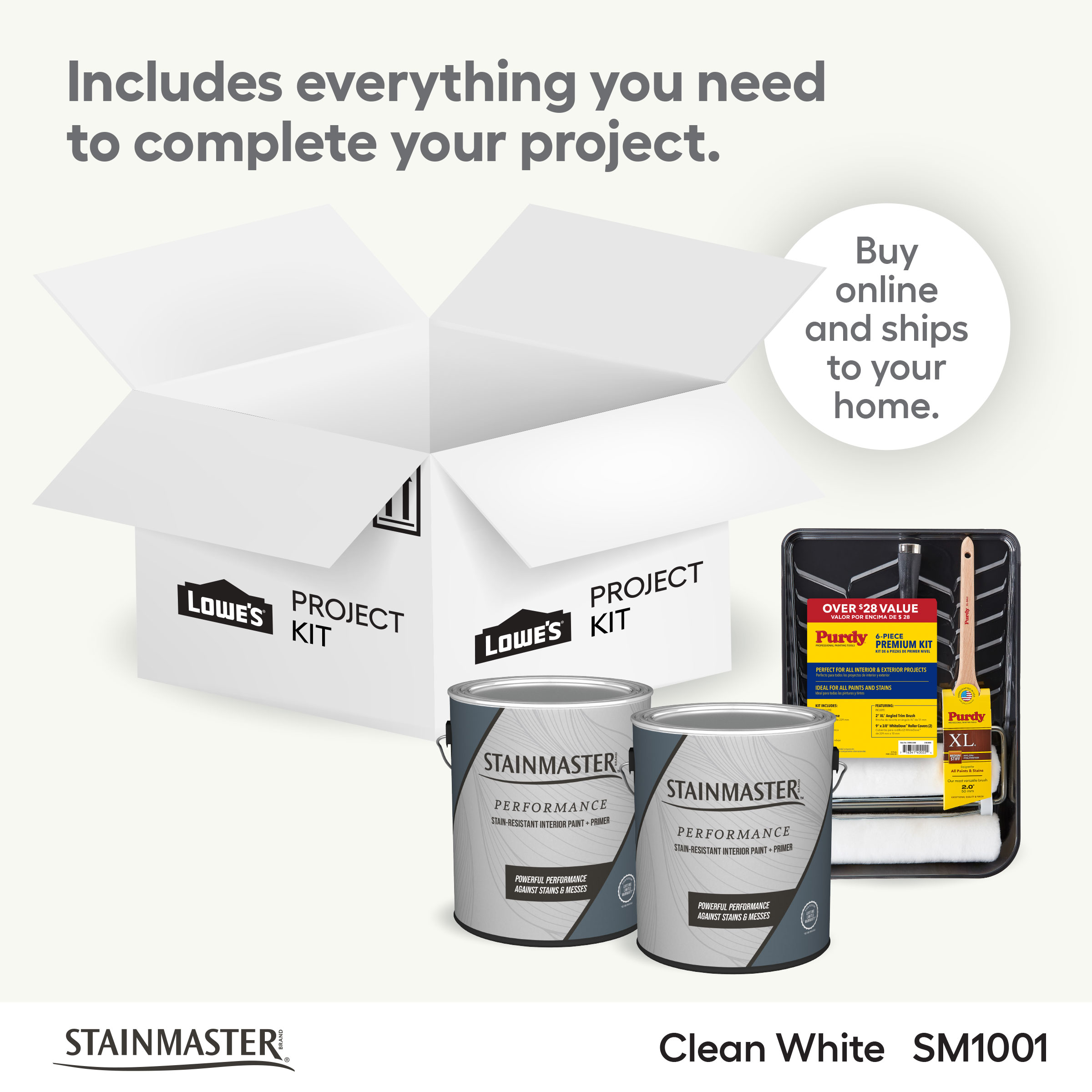 Shop STAINMASTER Pumice Stone Paint Project Kit at