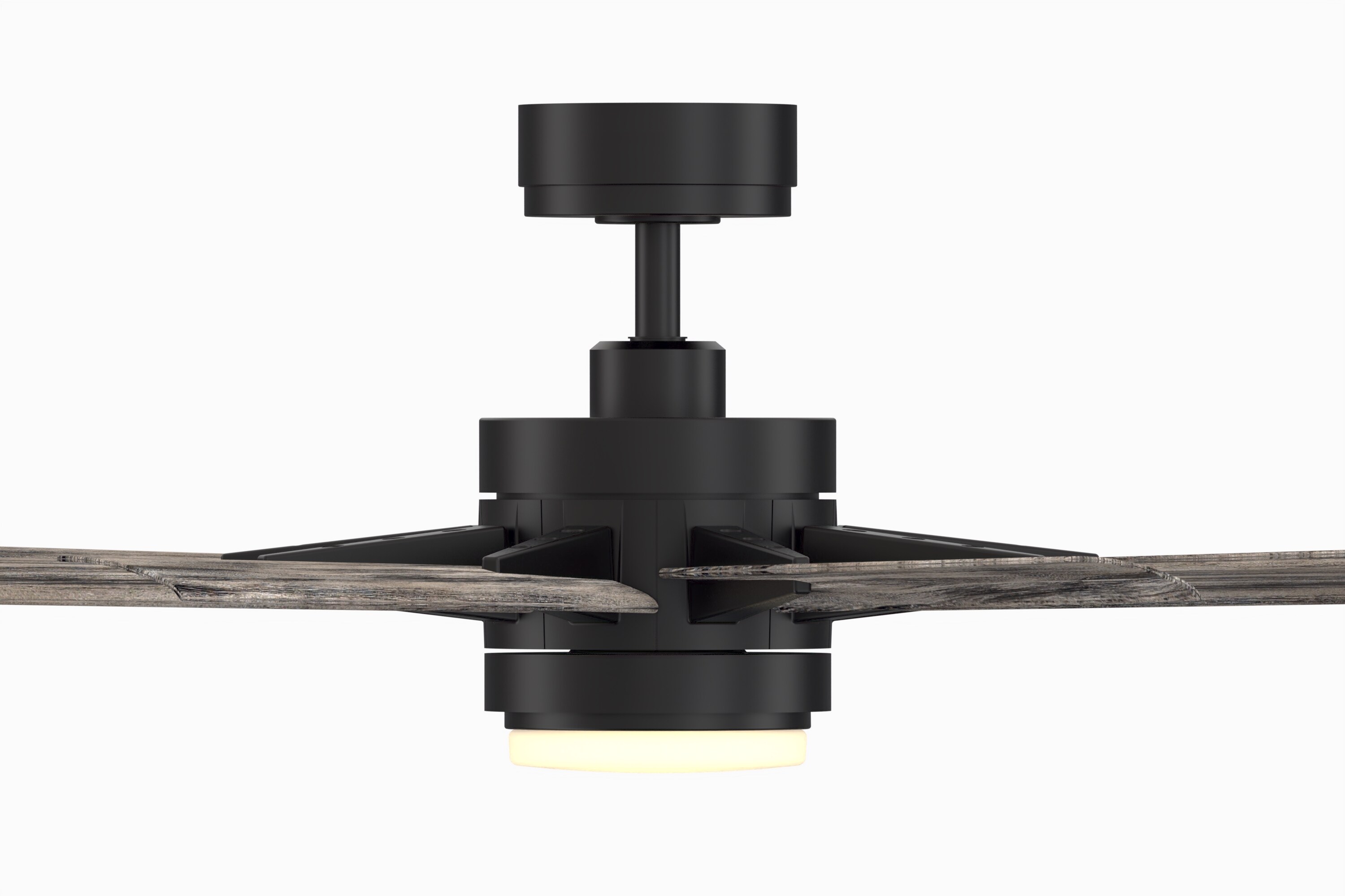 Fanimation FPD8152BLW-64WEW Ceiling-Fans - View #6