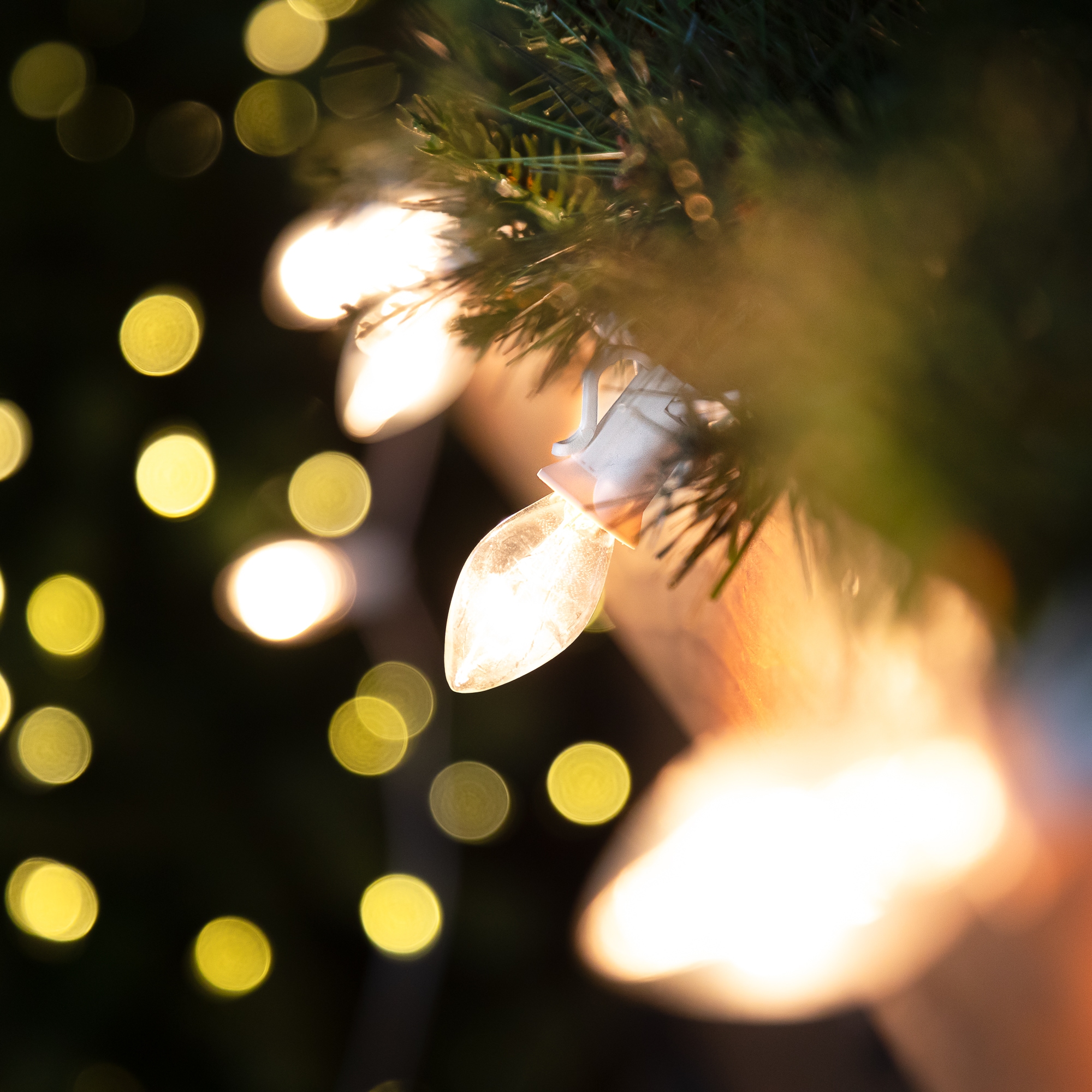 Northlight 35167275 Christmas-String-Lights - View #2