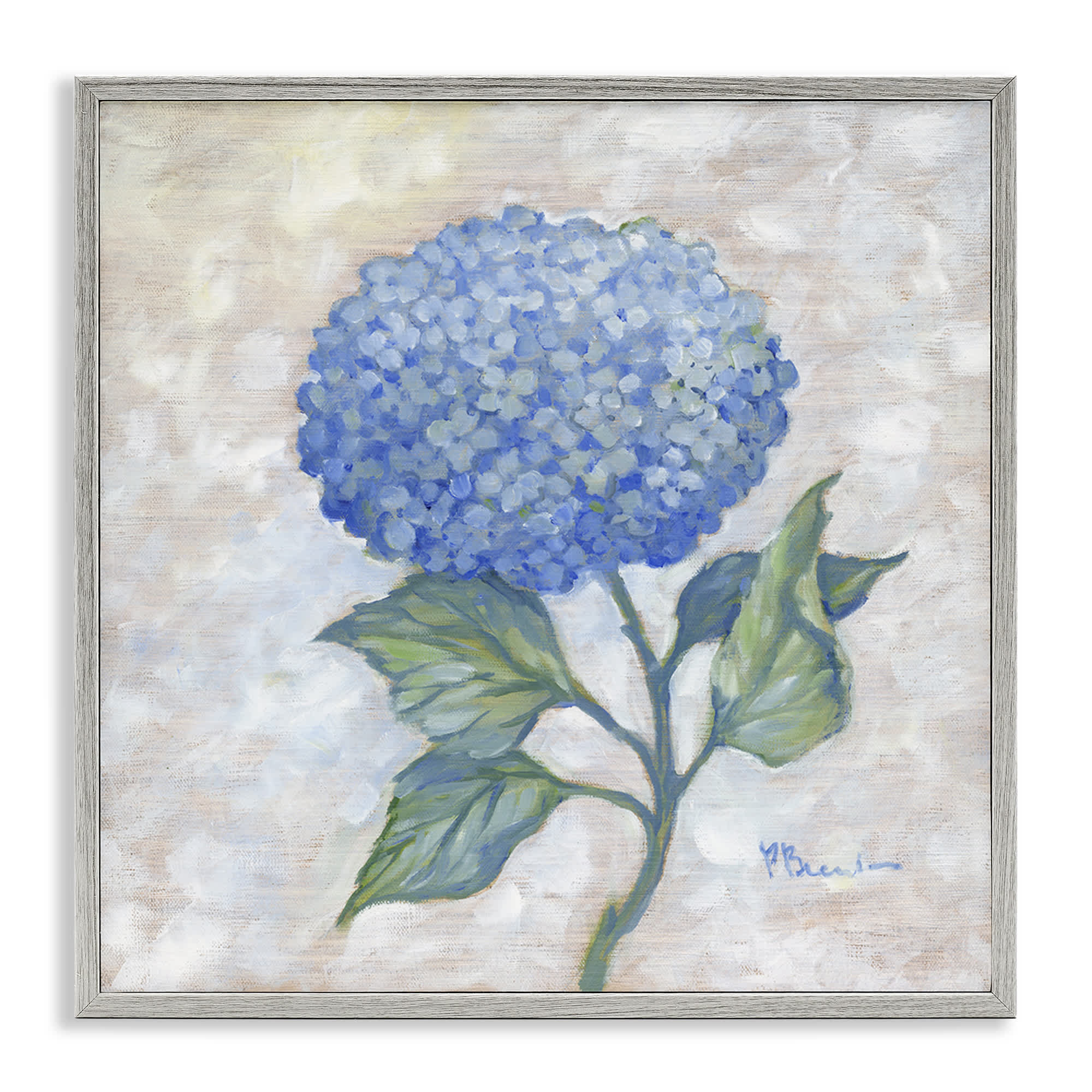 Stupell Industries BT-742-GFF-24X24 Traditional Blue Hydrangea Bloom Gray Framed Giclee Art By Paul Brent 24 x 24
