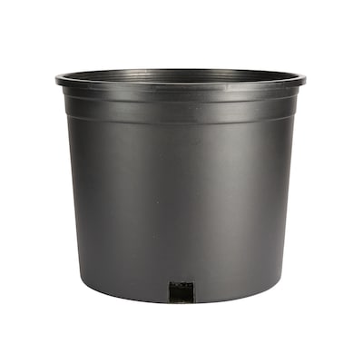 Medium (8-25 quarts) Pots & Planters at