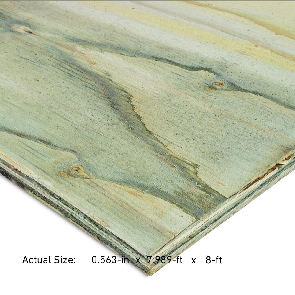 Severe Weather 135172 5/8-in x 4-ft x 8-ft Pressure Treated Douglas Fir Plywood Sheathing