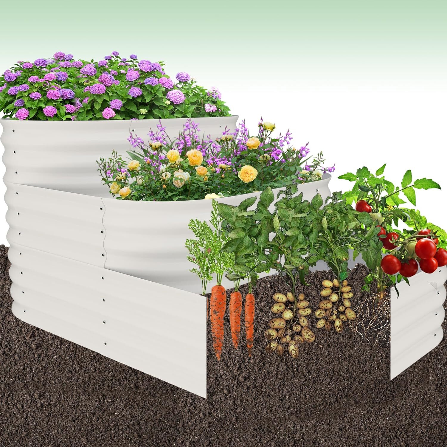Der Rose LMXPHO-33VM-0910U8JS Raised-Garden-Beds - View #3