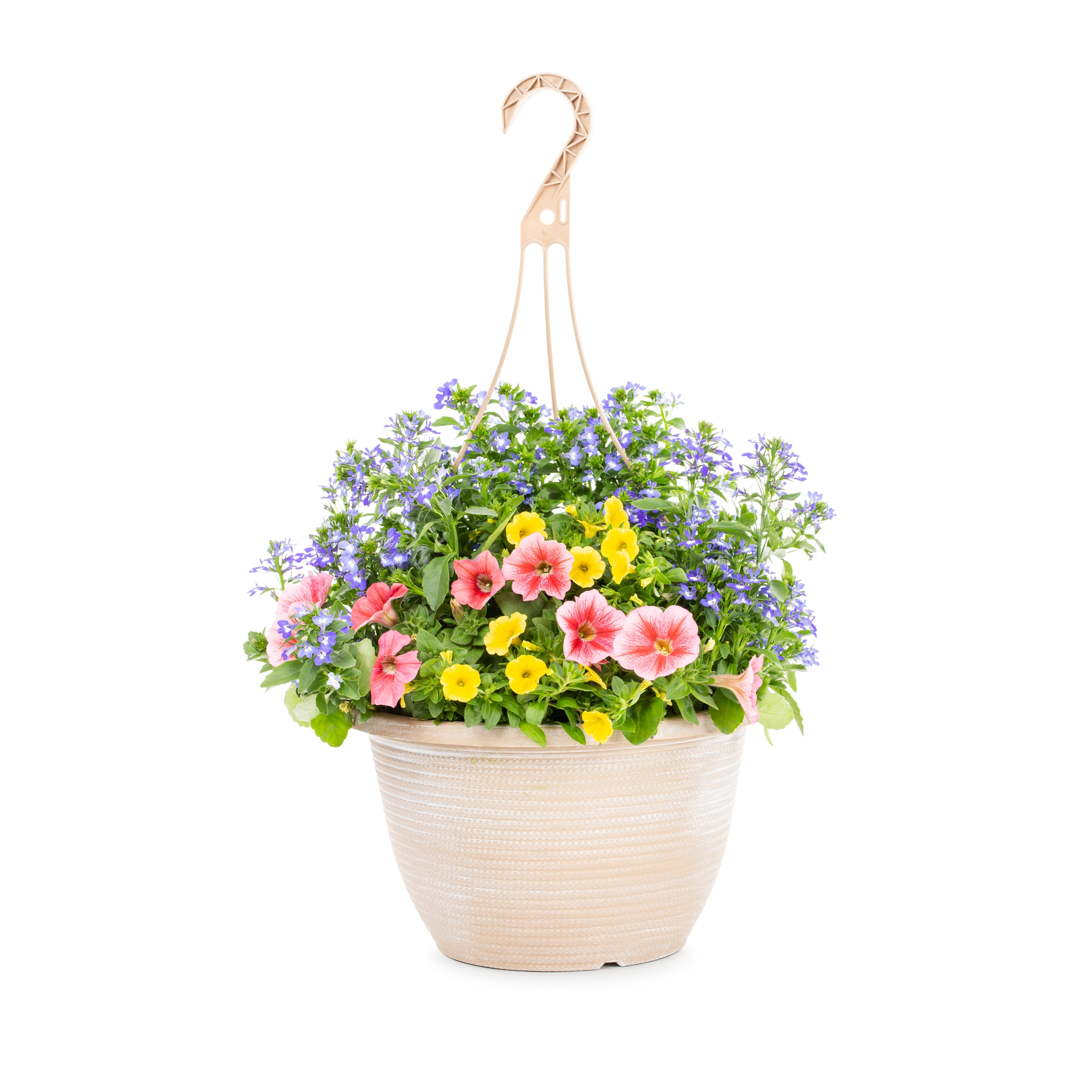 Lowe's Multicolor Mixed Annuals Combinations in 2-Gallon Hanging Basket ...