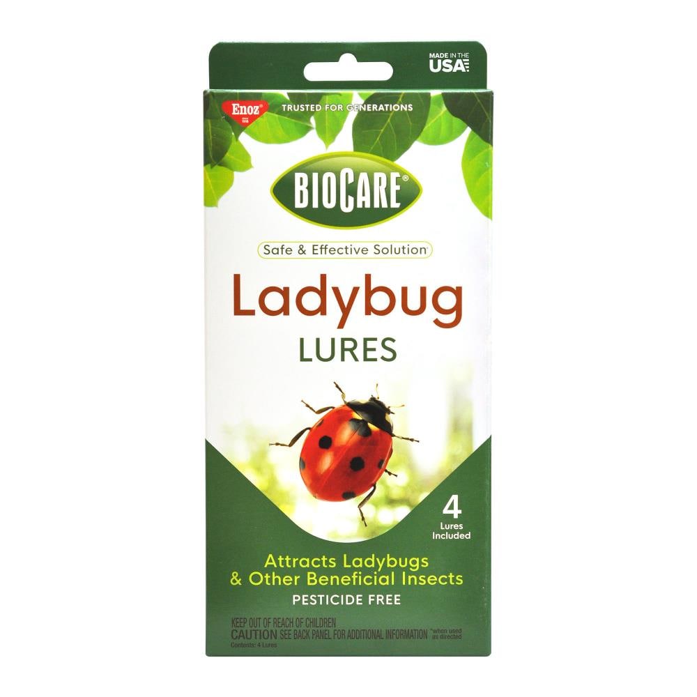 Enoz Biocare Ladybug Lures (3 Pack - 12 Lures) - Pesticide Free, Attracts Ladybugs to Feast On Aphids - All Purpose Lure for 3-4 Weeks | EB7500.3