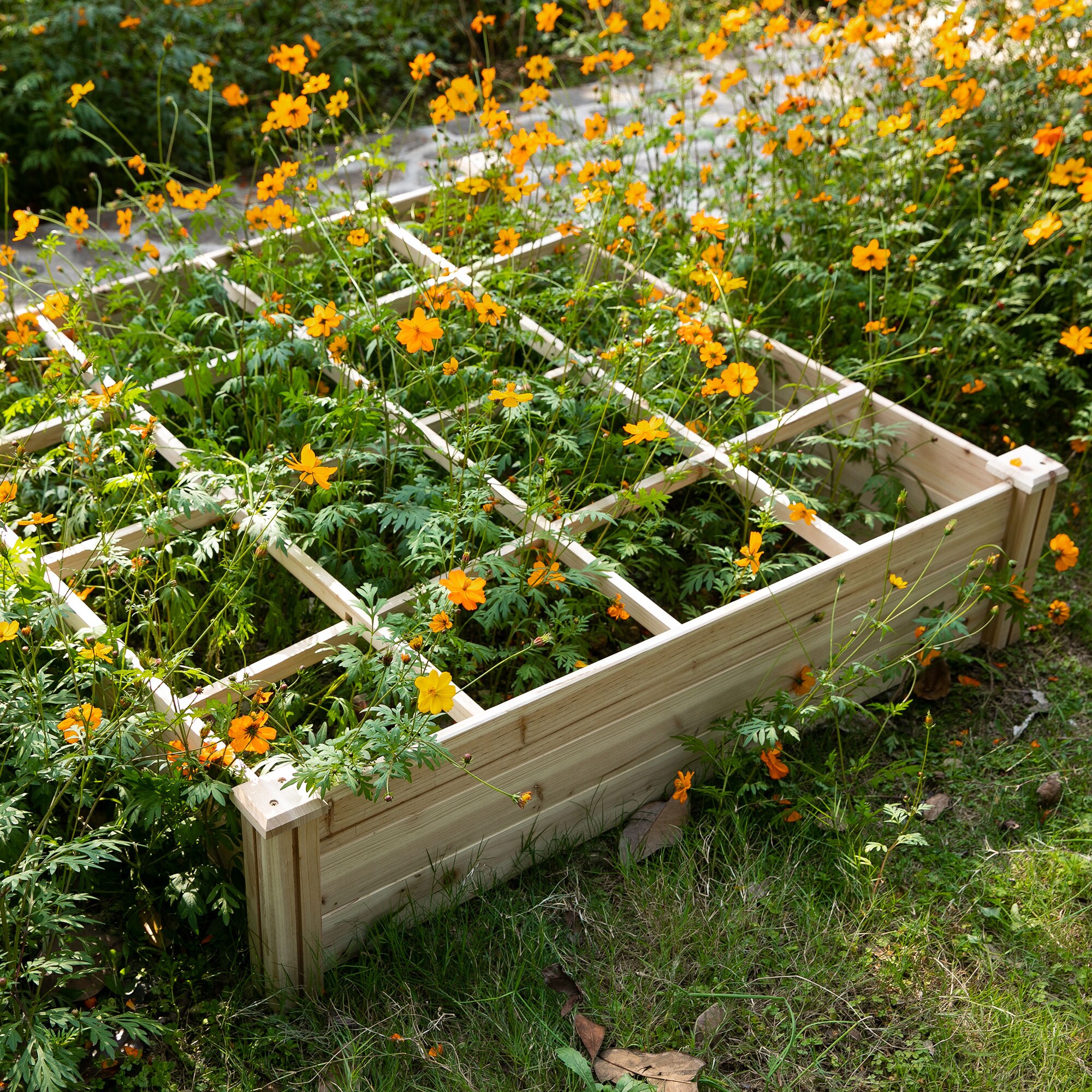 Damerin W214RA Raised-Garden-Beds - View #4