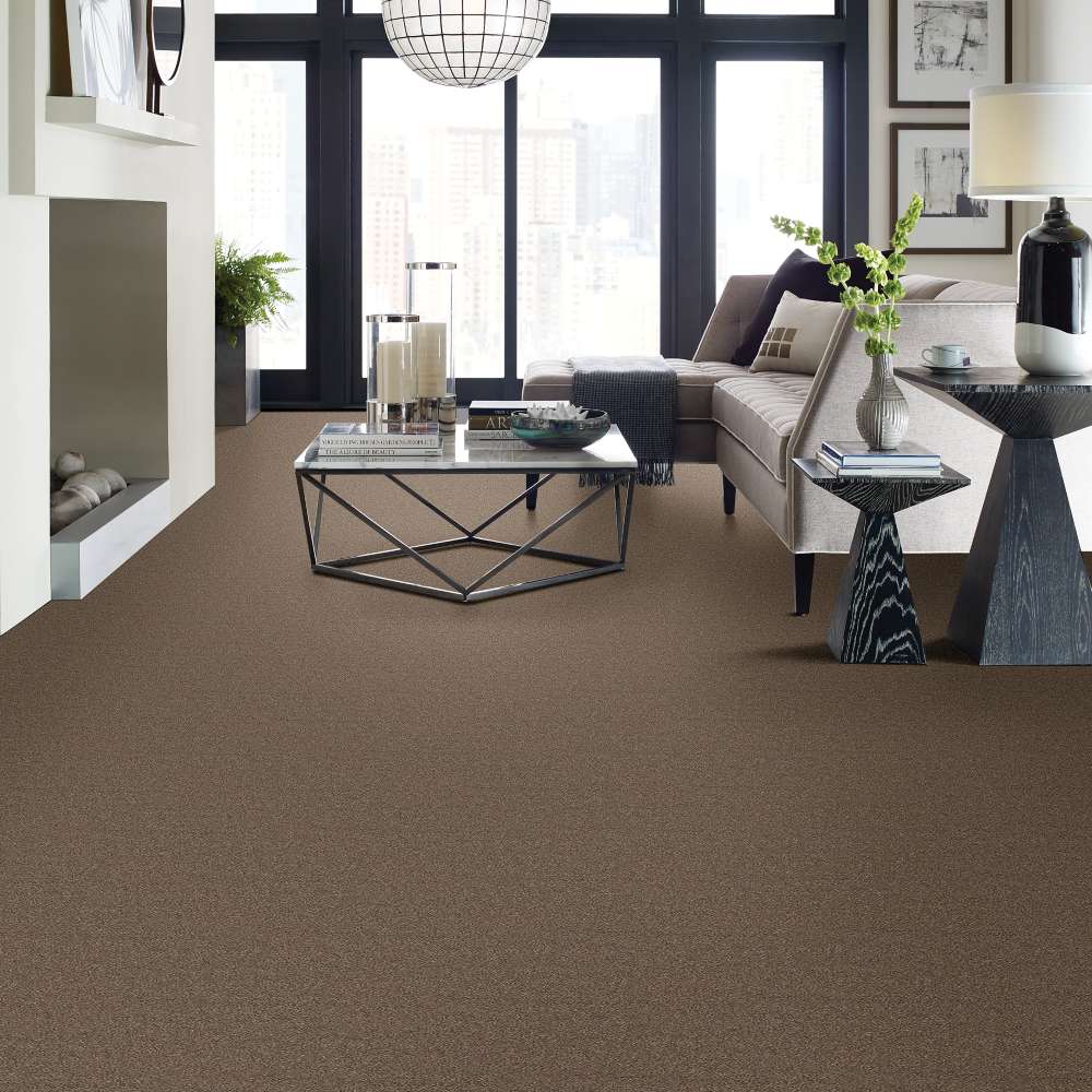 STAINMASTER 7L79100724 Carpet-Panel - View #3