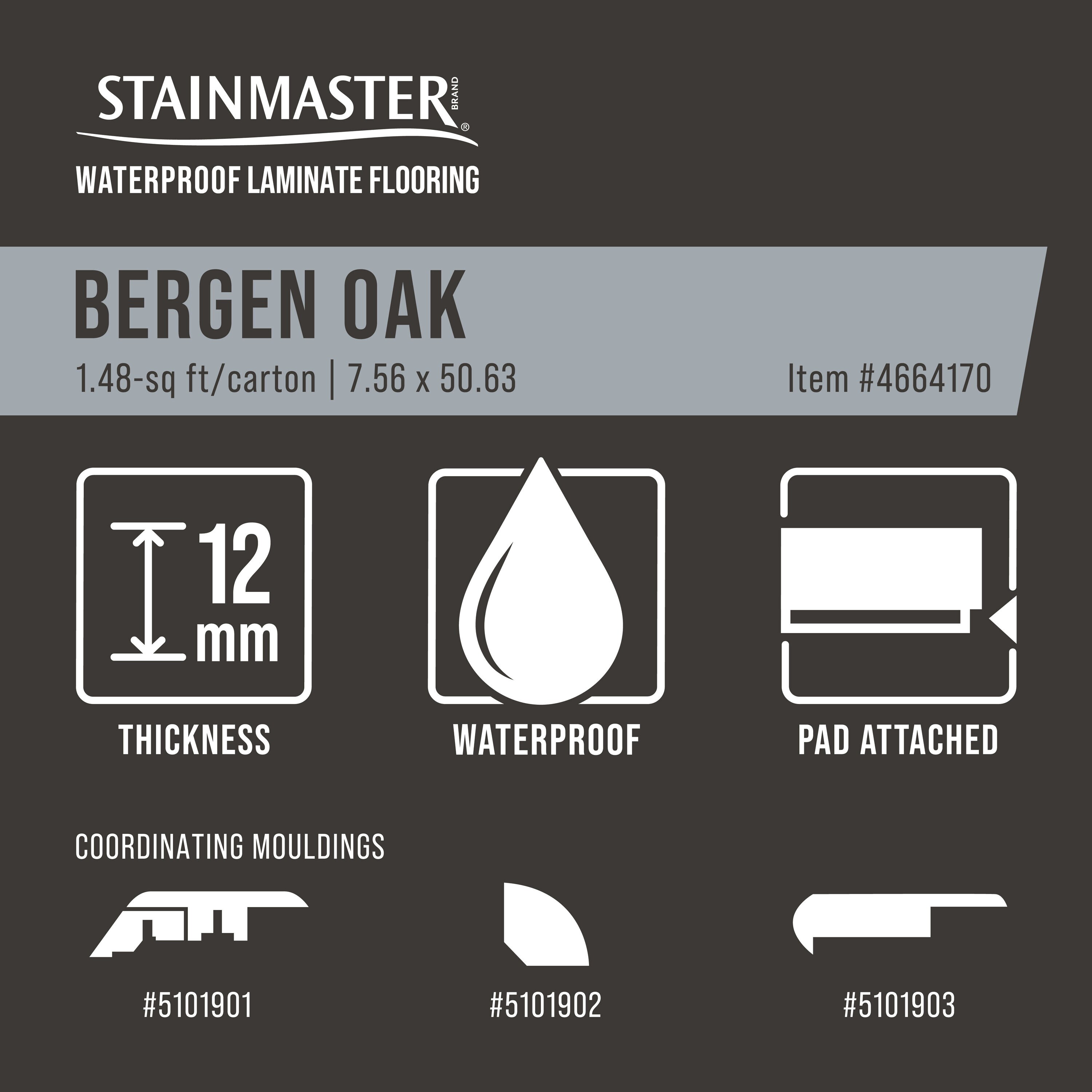 STAINMASTER 56238 laminates - View #14