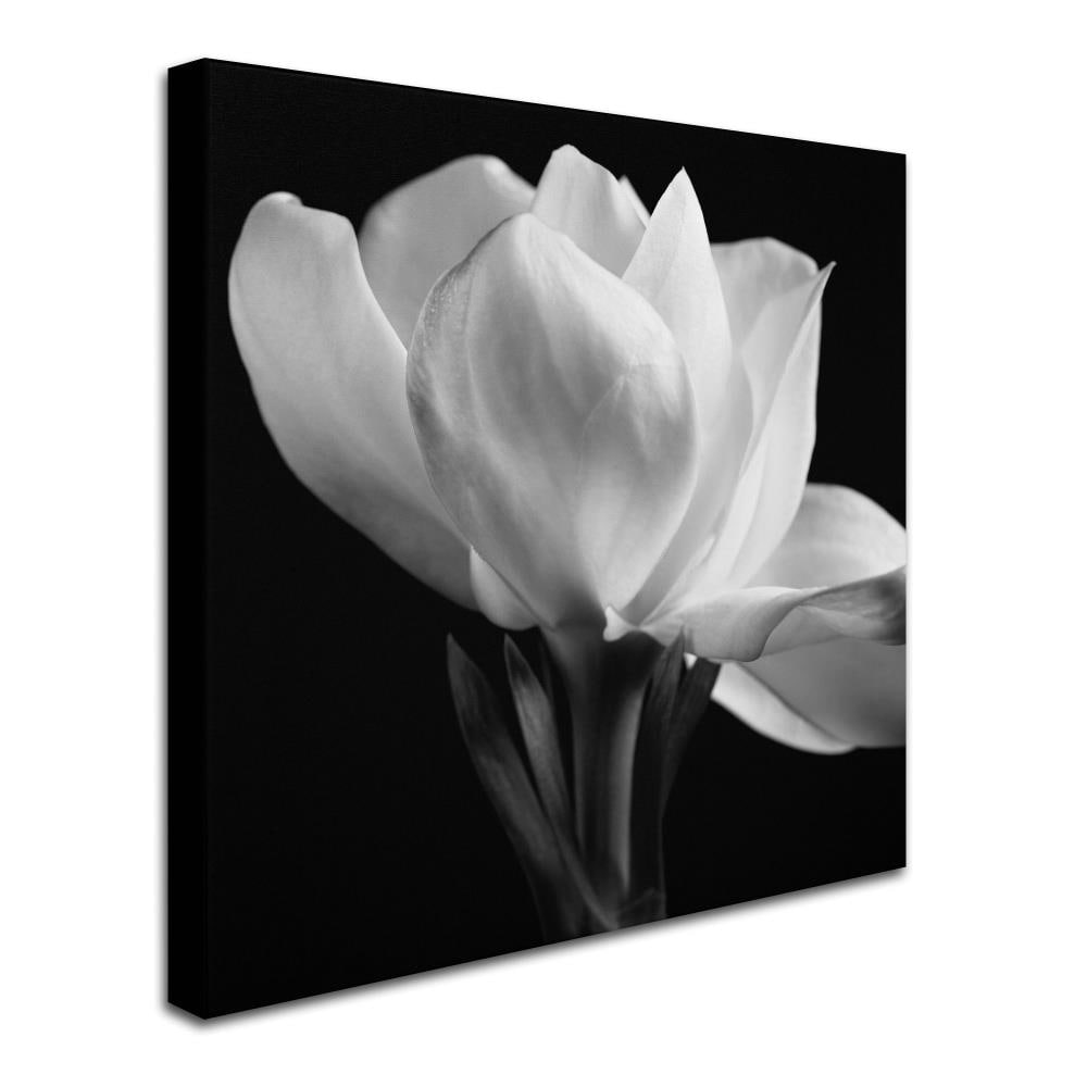 Trademark Fine Art ALI0287-C1414GG Wall-Art - View #3