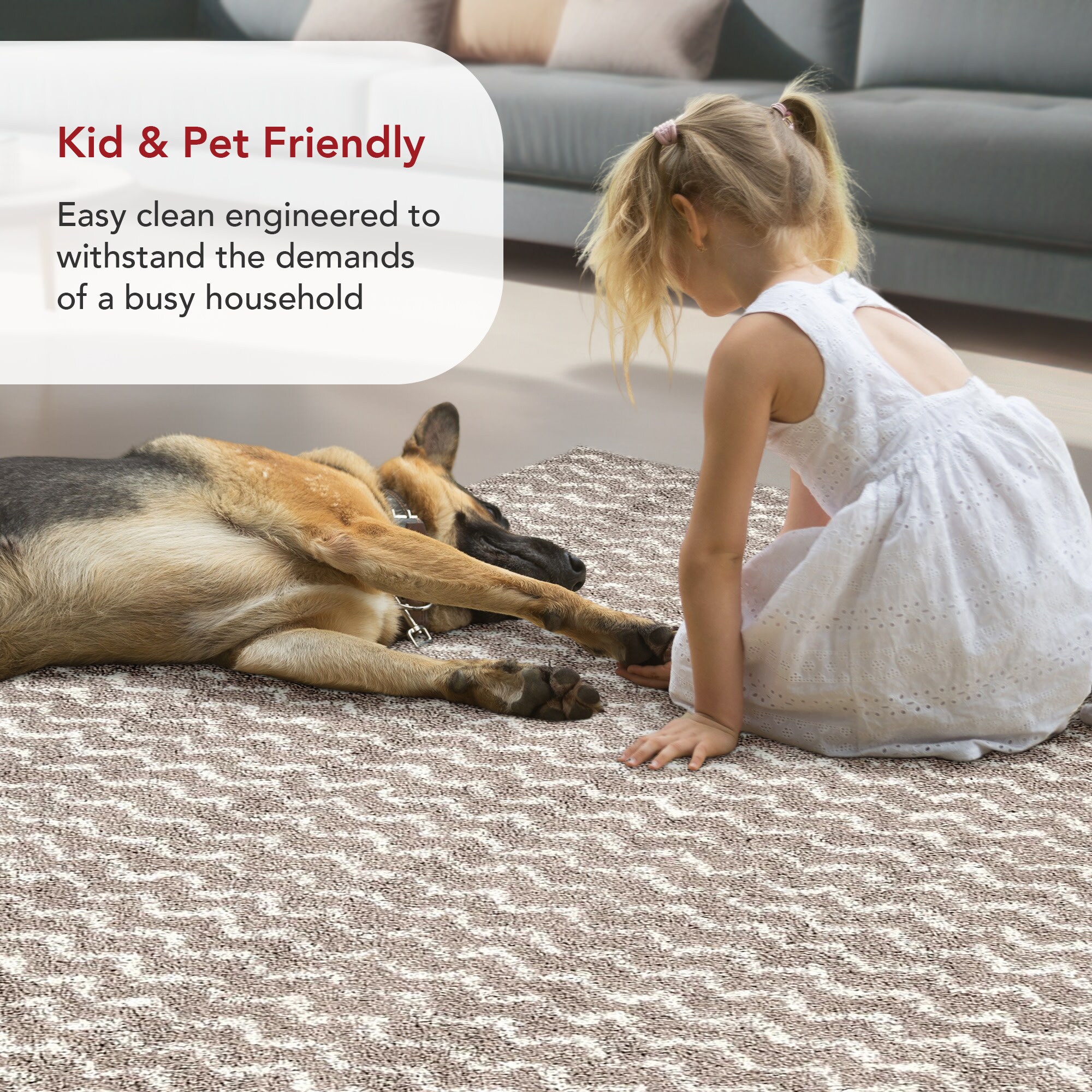 nuLOOM 200MLSH02D-76096 rugs - View #4