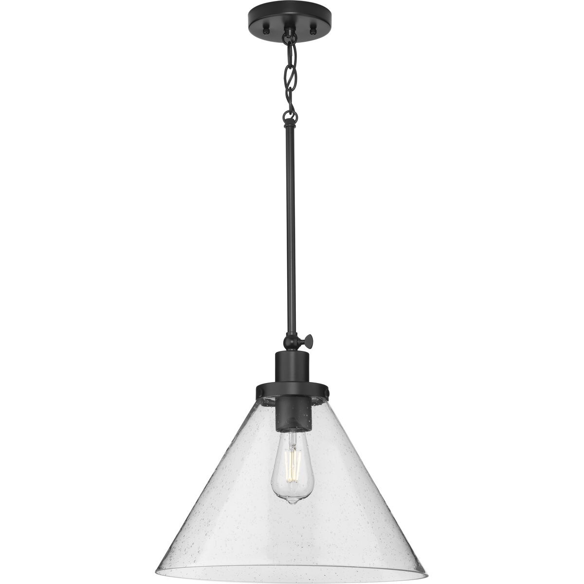 Progress Lighting P500384-31M Pendant-Lights - View #8