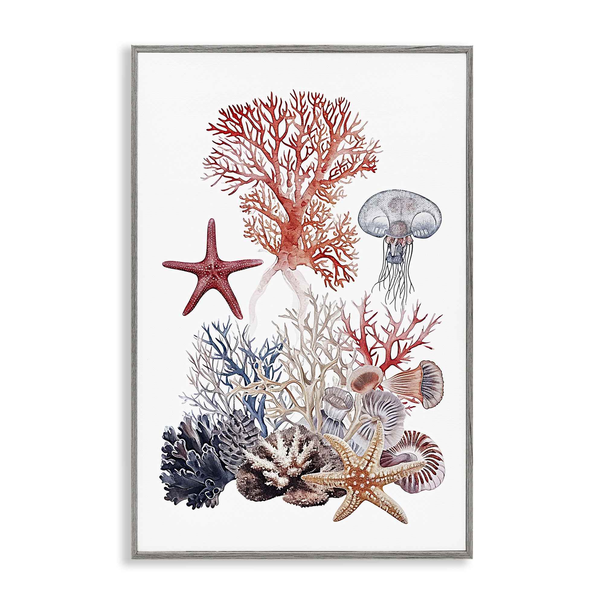 Stupell Industries BS-962-GFF-16X24 Aquatic Animals and Coral Gray Framed Giclee Art By Ramona Murdock 16 x 24
