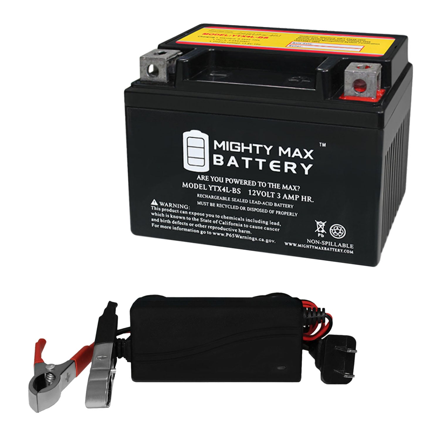 Mighty Max Battery MAX3832095 for RideOn Mower ATV Quad Buggy + 12V 1Amp Charger Rechargeable Sealed lead acid 1230 Backup power Batteries