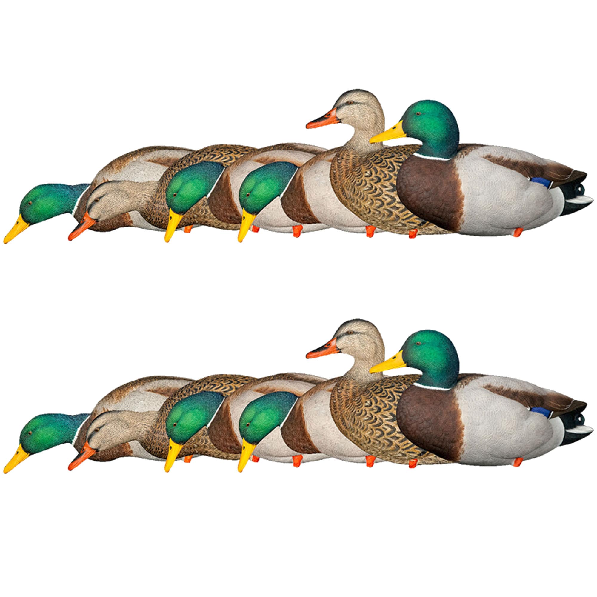  Avian X 408530 23 x 15 x 16 inches Inche(s) Decoy 12 -Pack