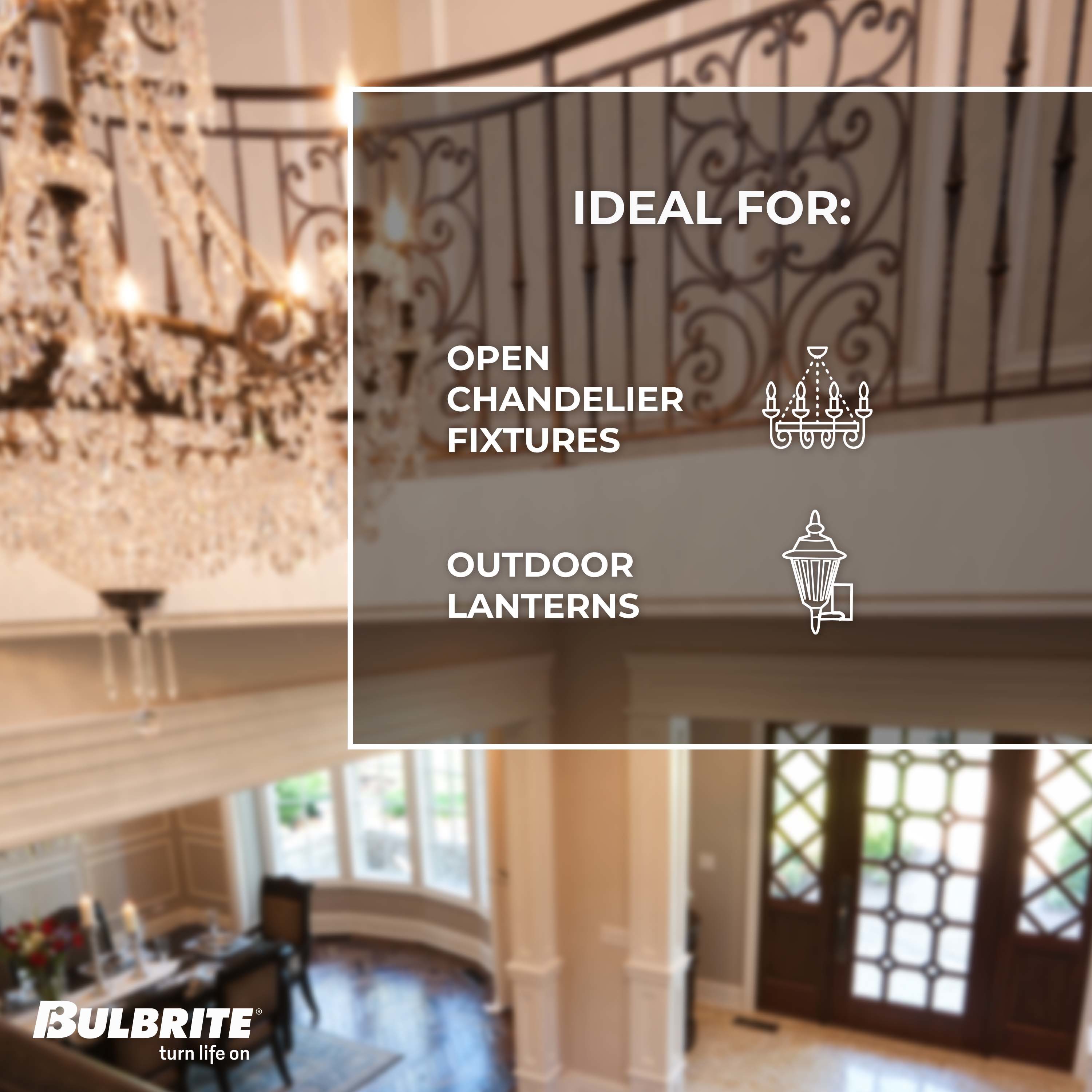 Bulbrite 861020 Specialty-Light-Bulbs - View #4
