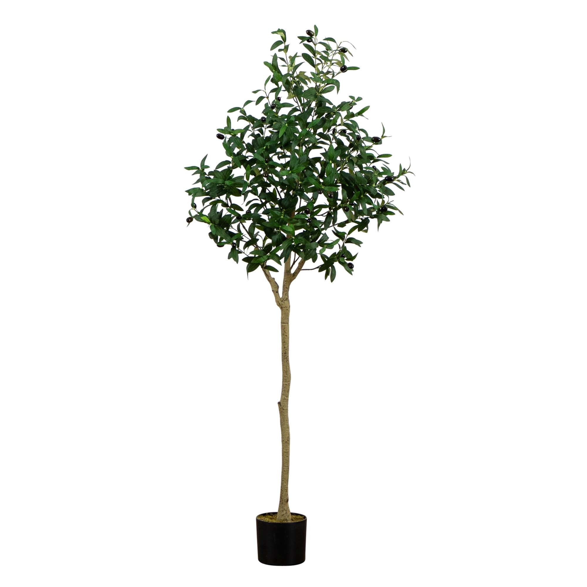 Nearly Natural T4692 60-in Green Indoor Floor Olive Artificial tree