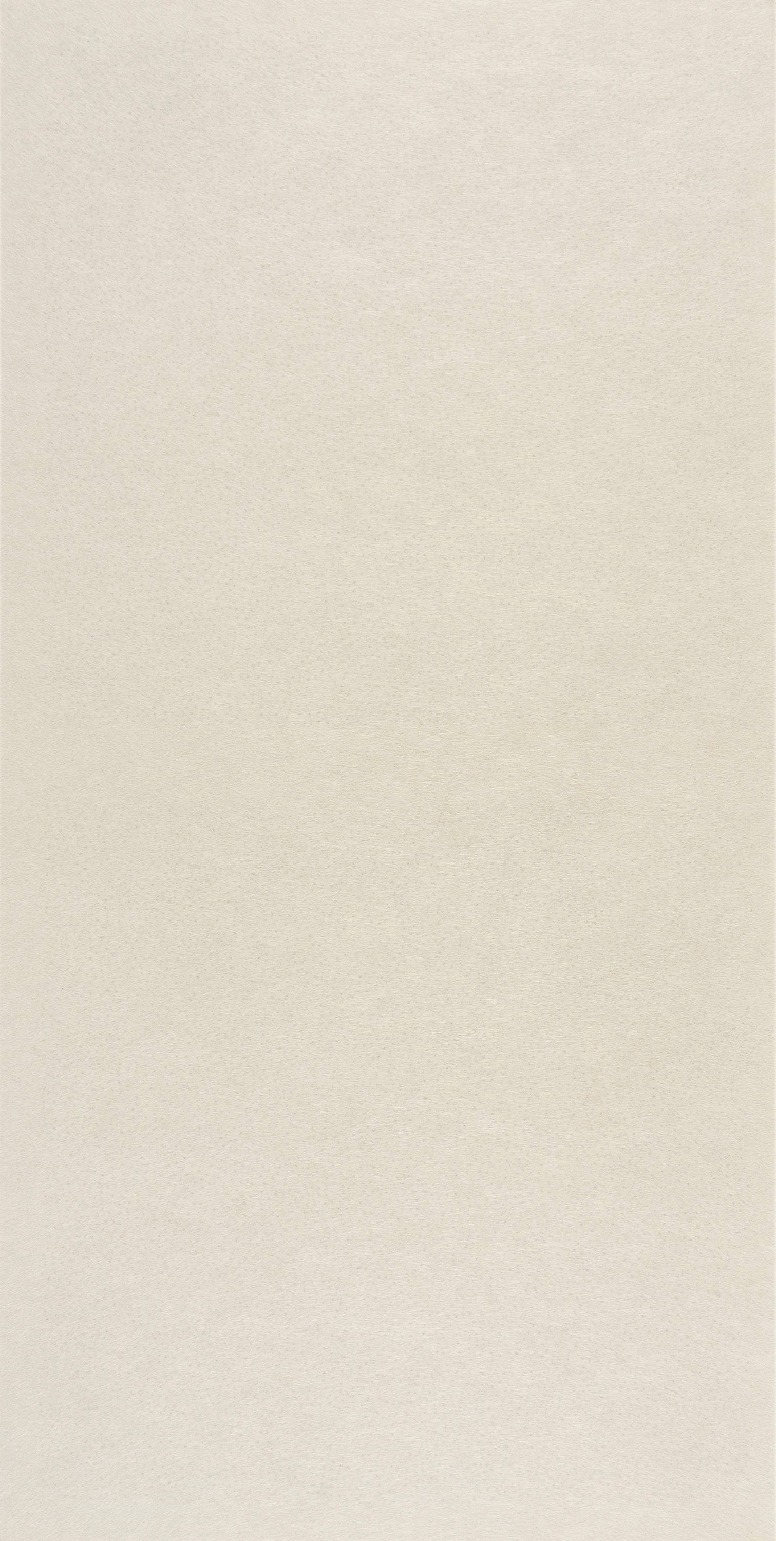 Armstrong Ceilings 2012 AcoustAffix 48-in x 24-in 6-Pack Field Paintable Smooth Surface-mount Ceiling Tile