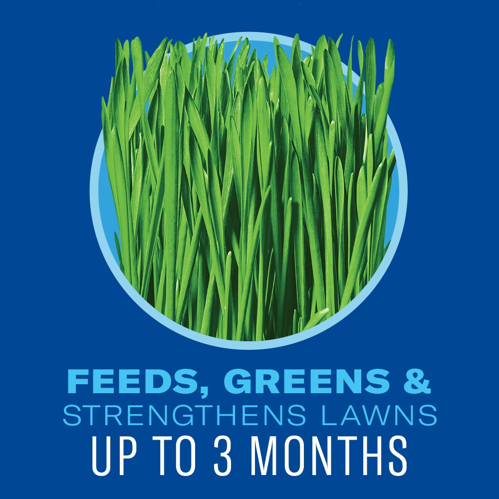 BioAdvanced 704860 Lawn-Fertilizer - View #4