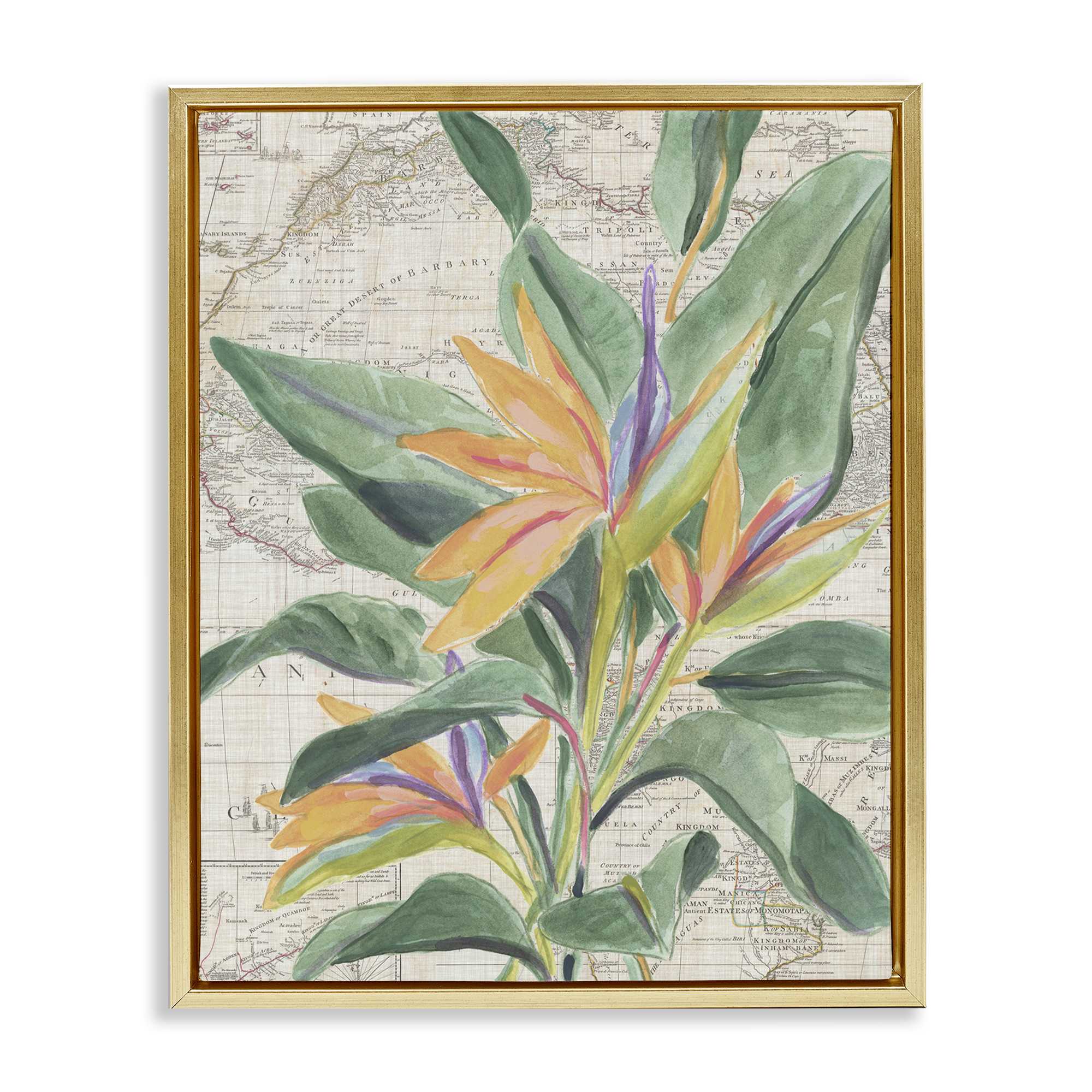 Stupell Industries BS-388-FFG-16X20 Tropical Flower over Map Floating Frame design by June Erica Vess