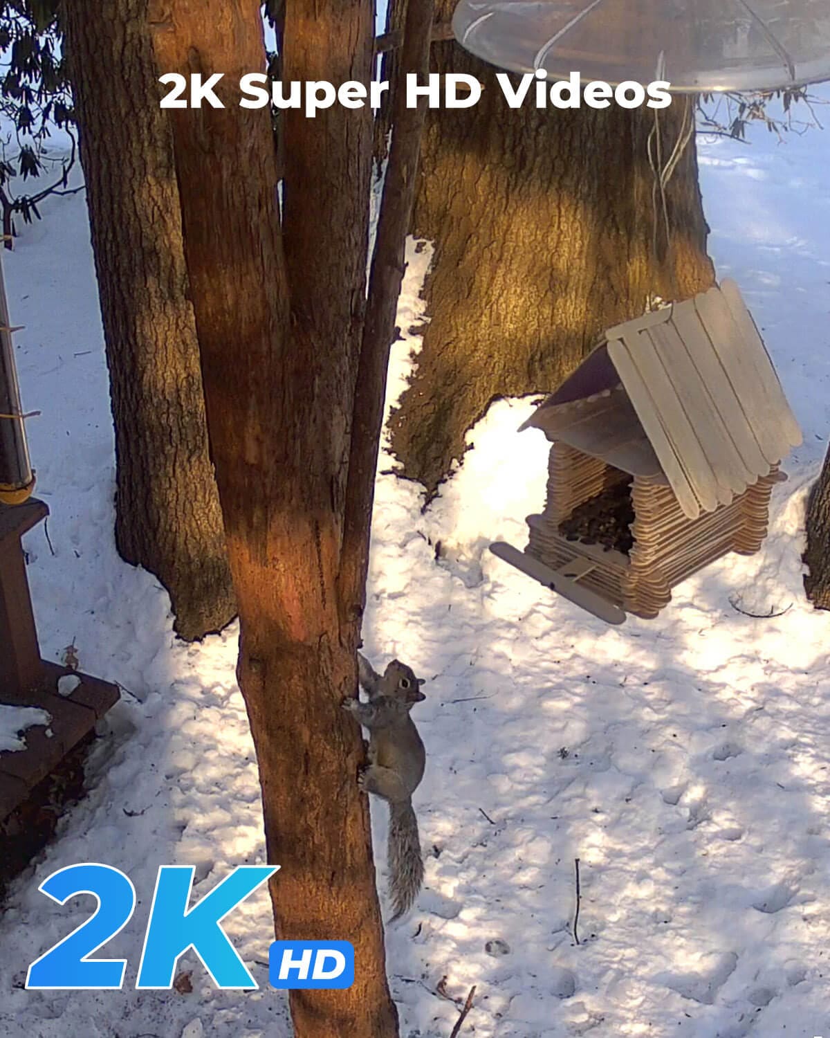Reolink REOLINK GO PLUS+SP Security-Cameras - View #2
