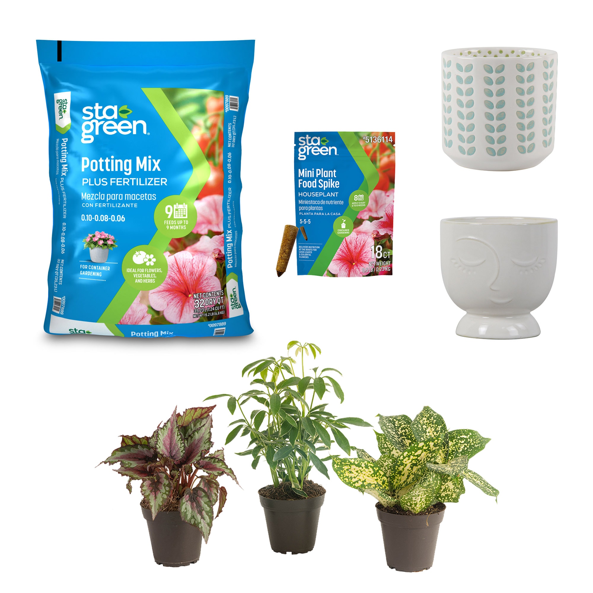 Indoor Plant Pots & Planters At Lowes.com