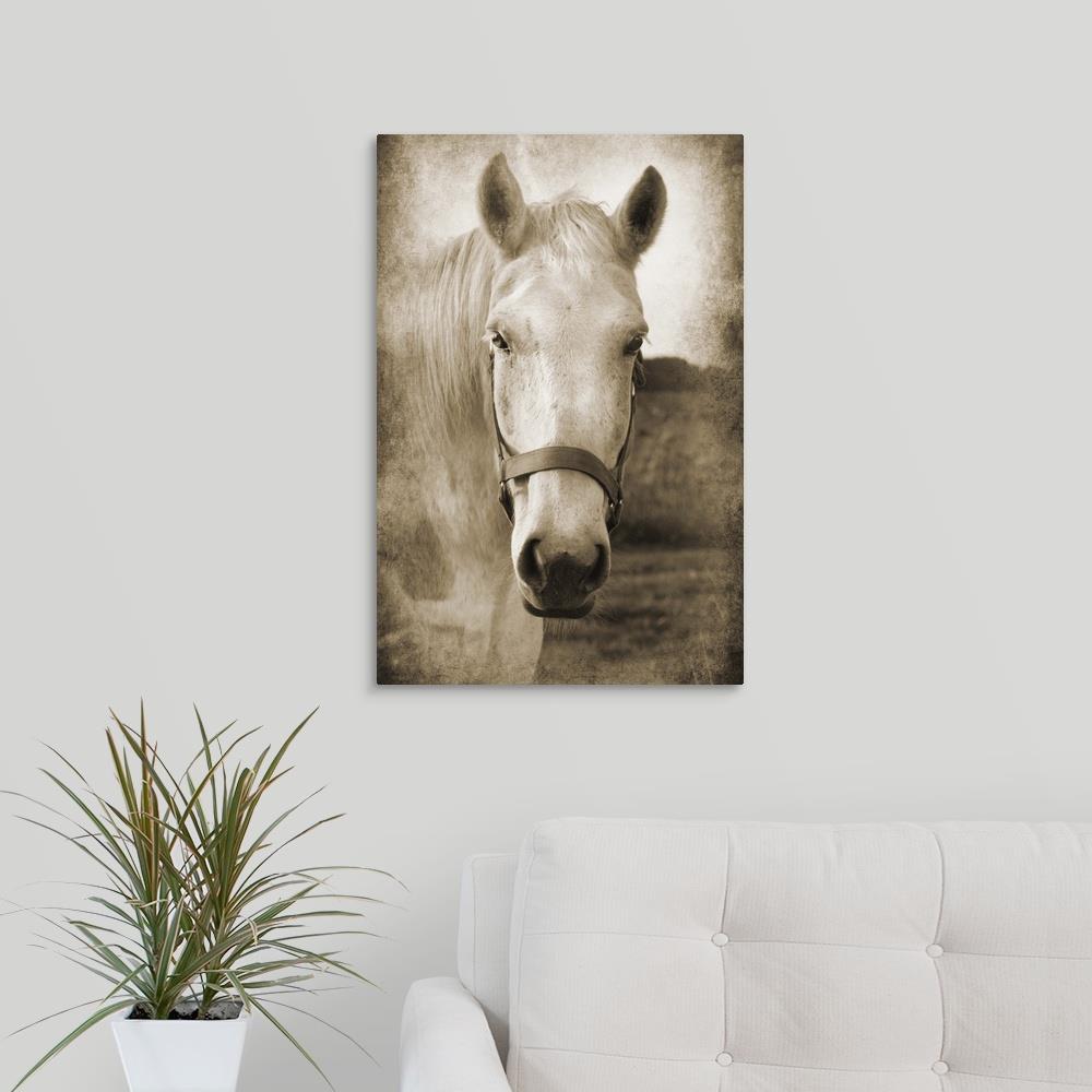 GreatBigCanvas Horse Kiss IV by Suzanne Fosch 24-in H x 16-in W ...