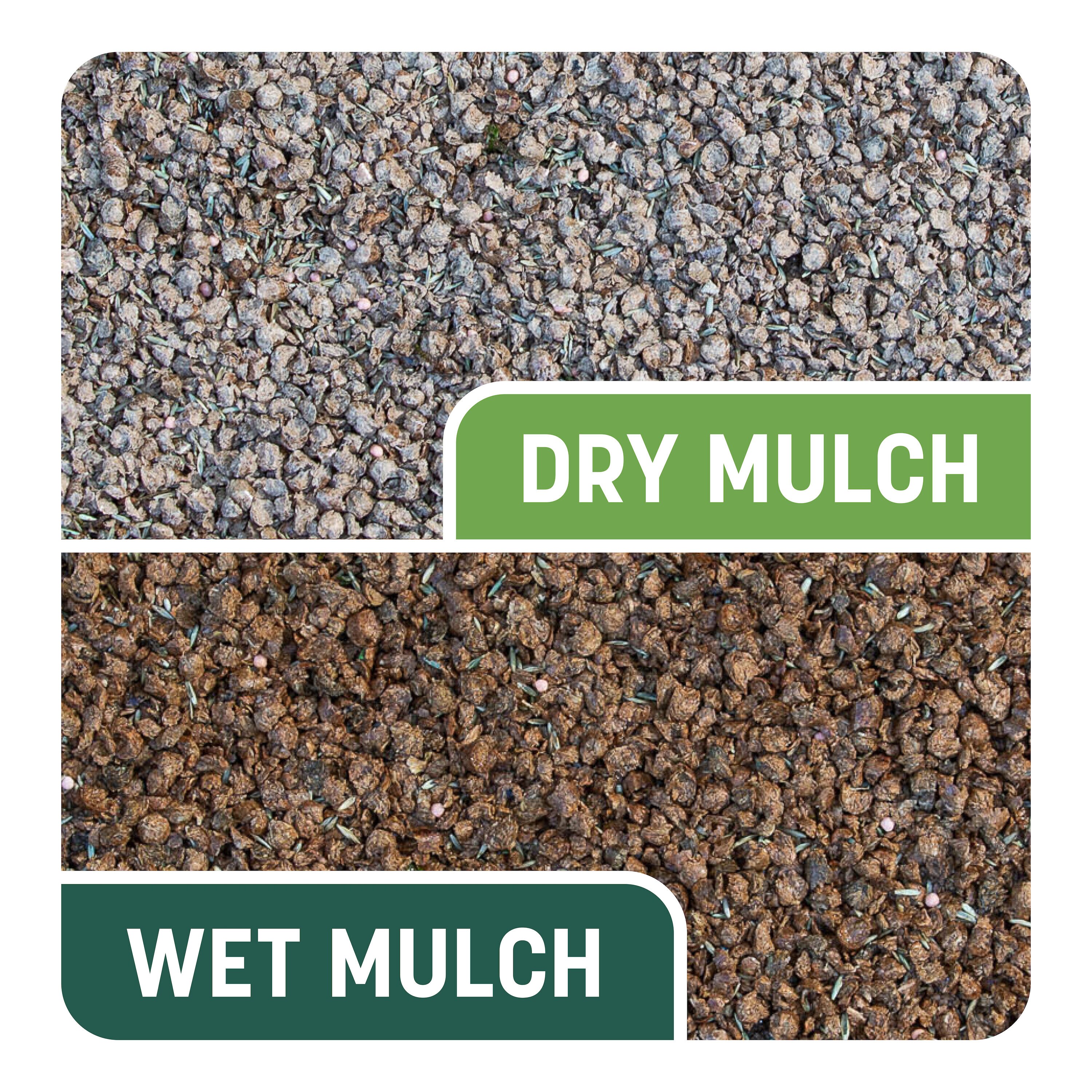 Pennington 2149602417 Lawn-Repair-Mix - View #3