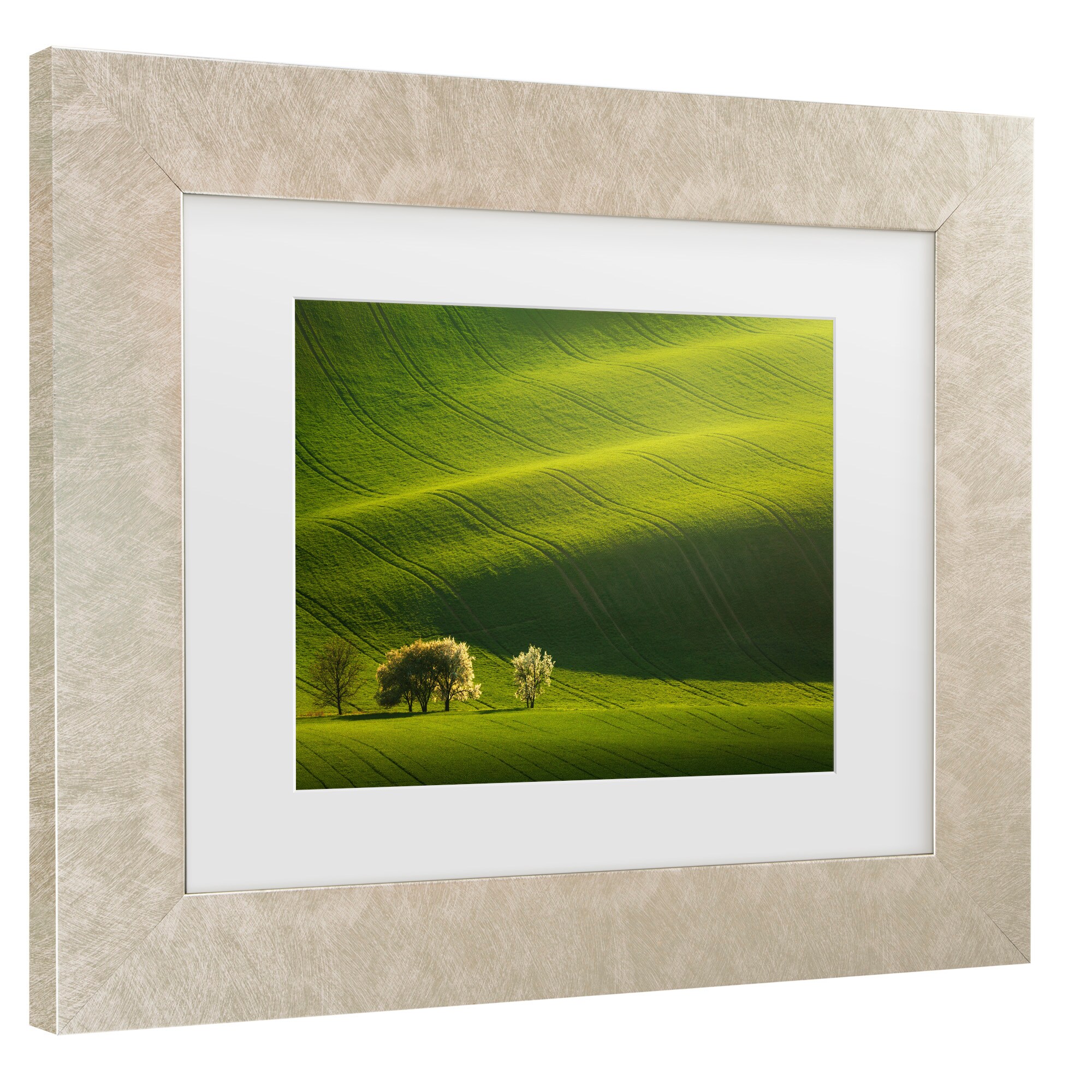 Trademark Fine Art 1X10882-C1620MF Wall-Art - View #3