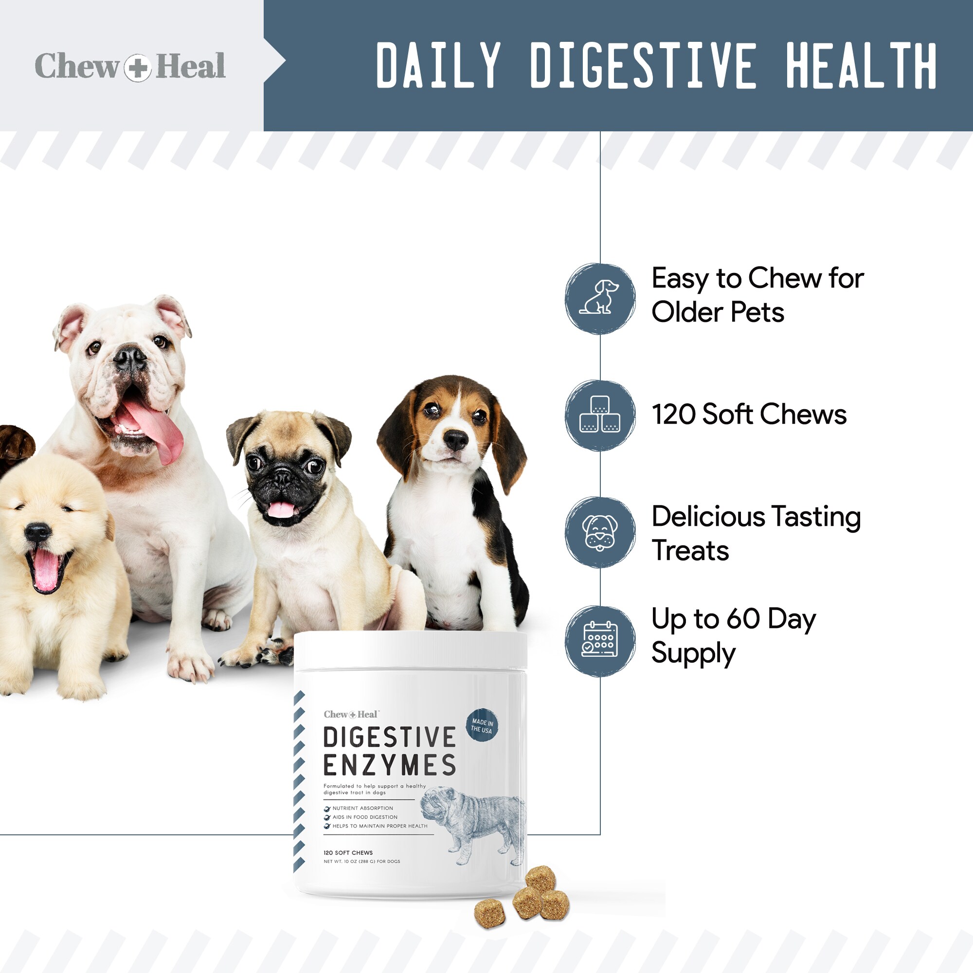 Well & good digestive enzymes & best sale probiotics chewable dog tablets