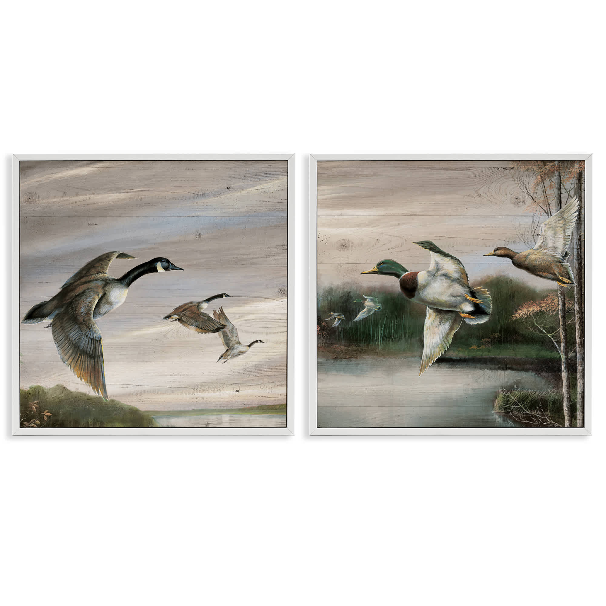Stupell Industries B2-735-WFR-2PC-17X17 Geese and Ducks in Nature 2pc Framed Giclee Set design by Ruane Manning