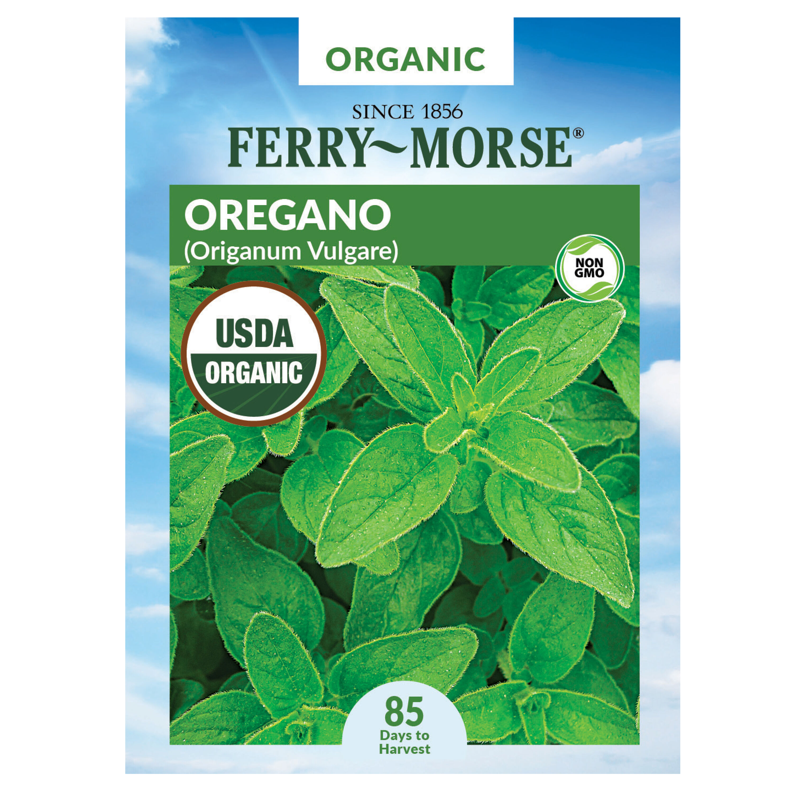 Ferry-Morse 913542.299.643982 Organic Oregano Organic Herb Seeds 0.12 Gram(s)