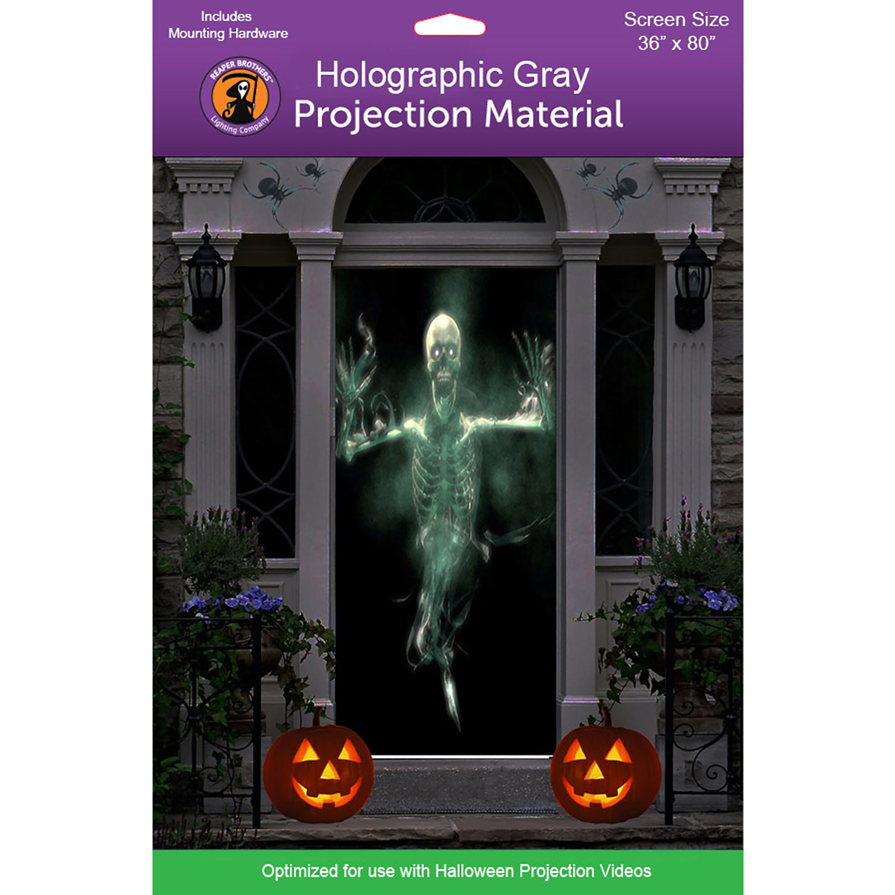 HoliScapes SCREEN-G-36X80 36-Inches L x 0.1-Inches W x 80-Inches H Indoor Movie Screen