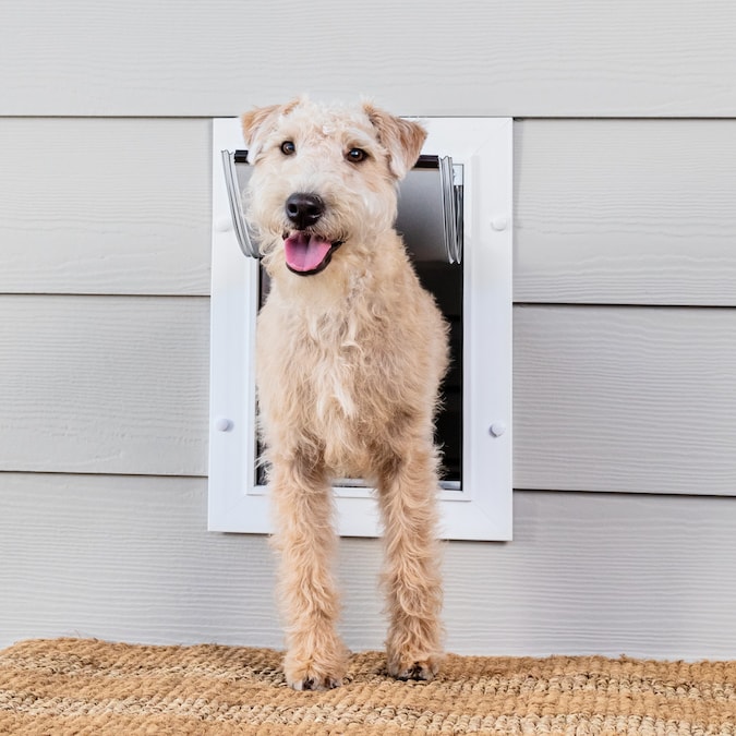 Best Dog Door for Sliding Glass Door- Locking Pet Dog Doo