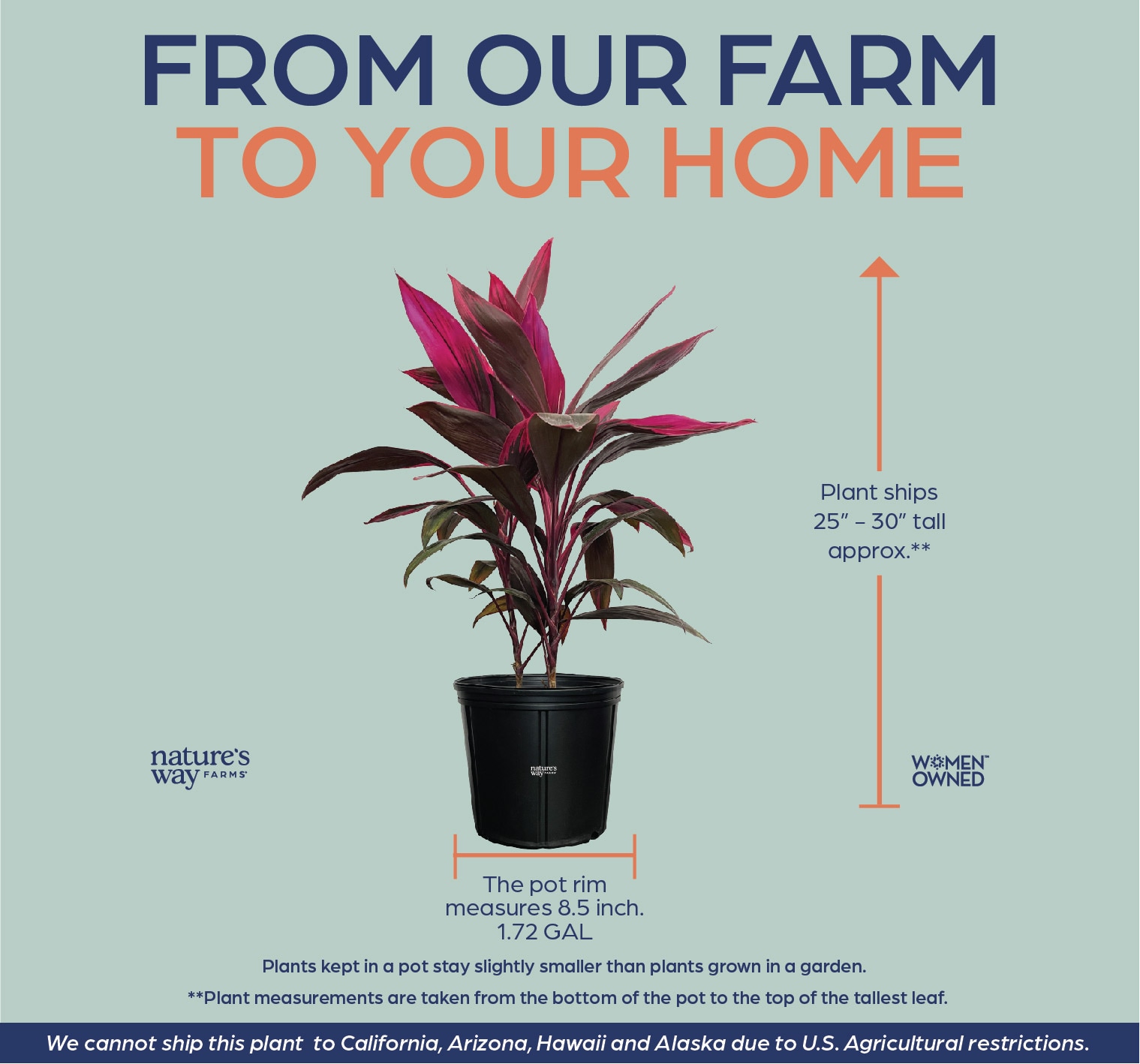  3784 perennials - View #2