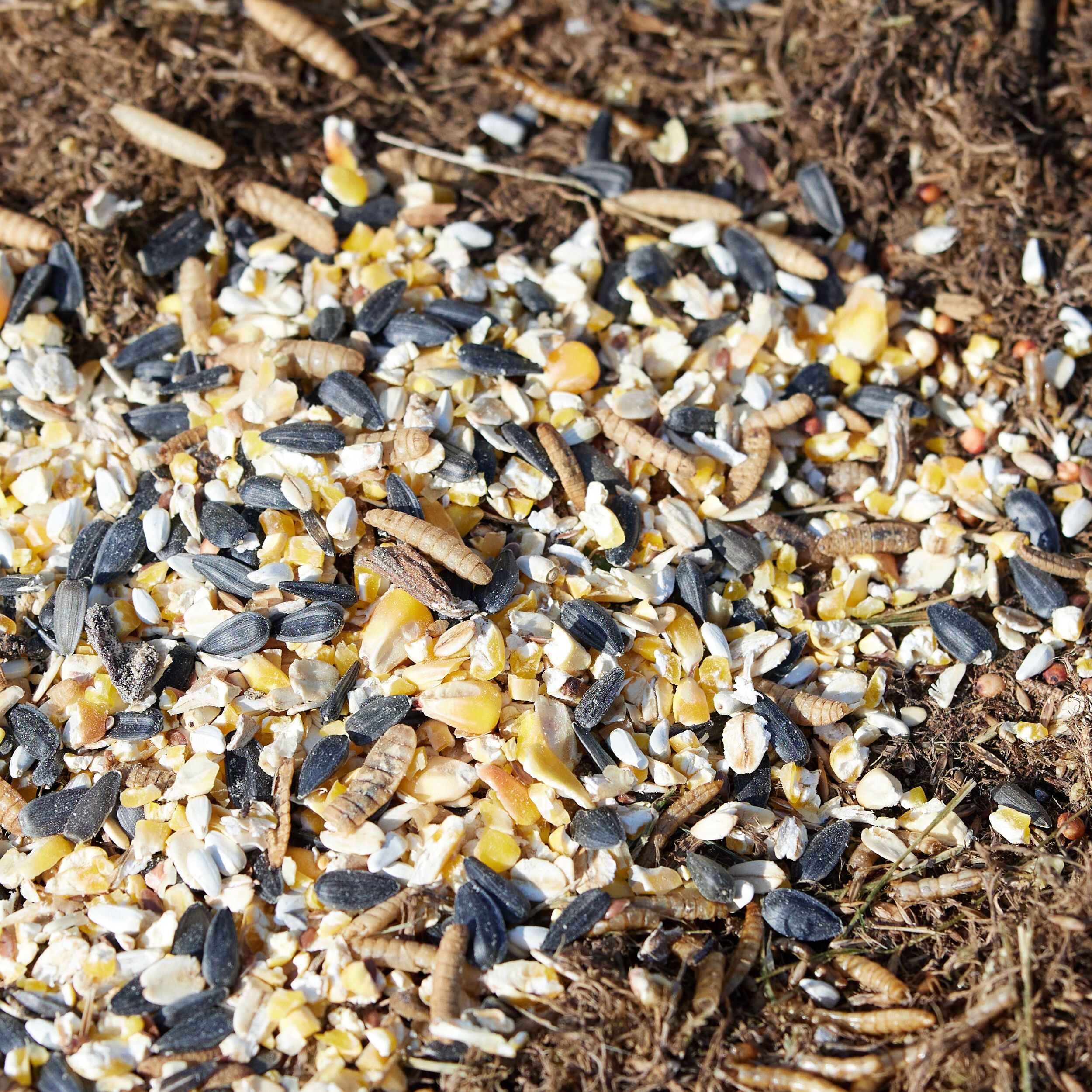 Pecking Order 009353 Poultry-Feed - View #3