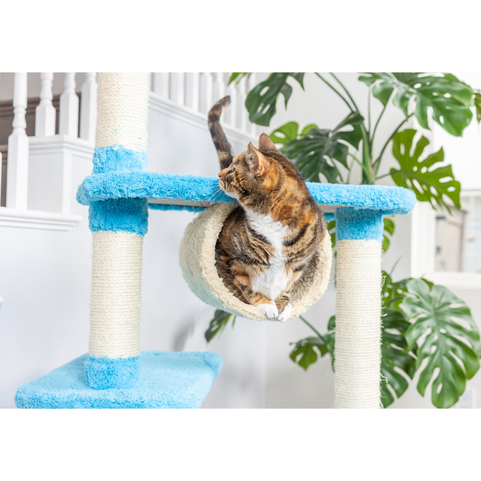 Armarkat X6105 Cat-Trees - View #9