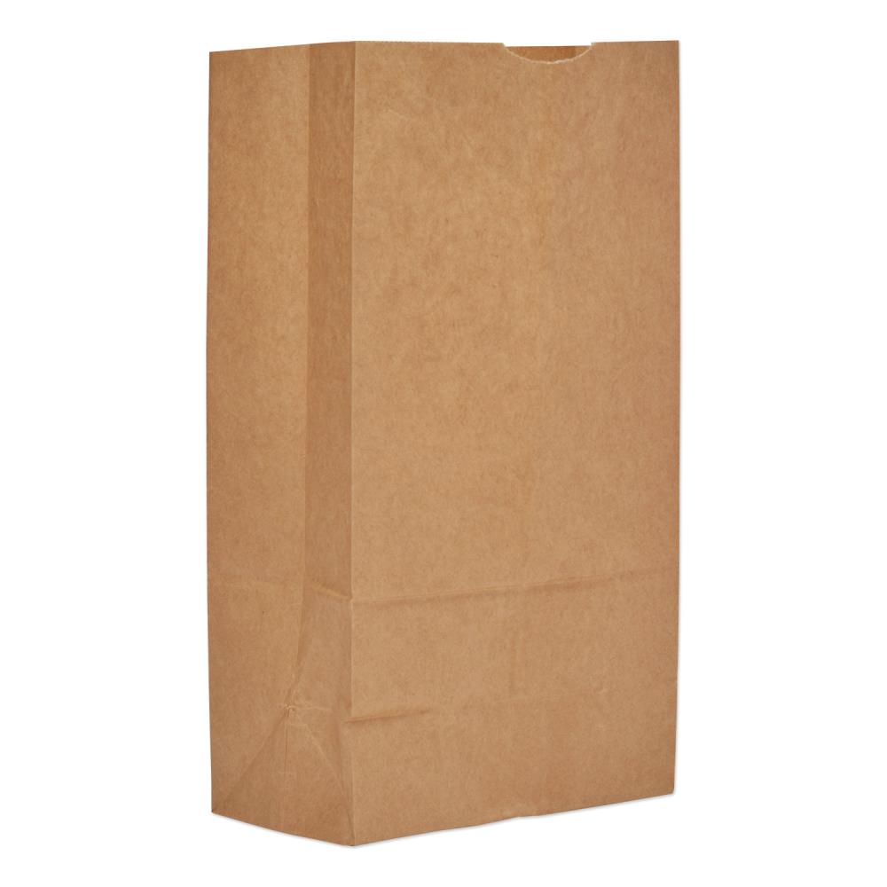  BAGKRAFT Pack of 30 Brown Paper Bags With Handles Bulk