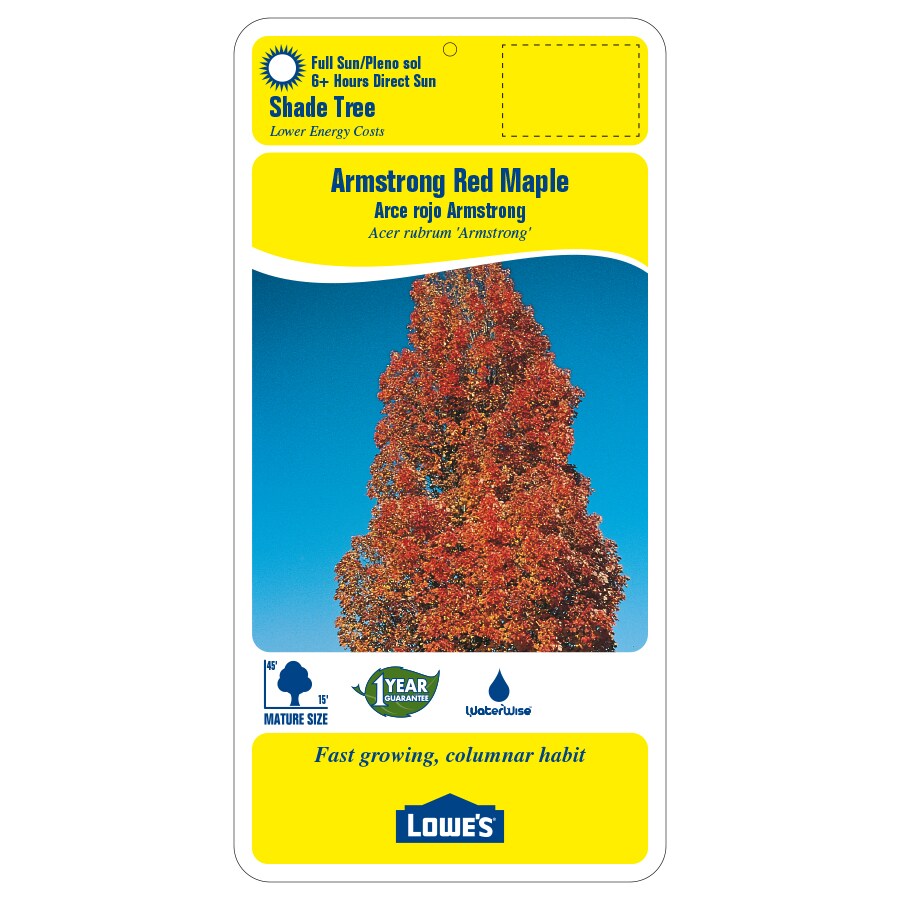 Lowe's 8.86513083583E11 trees - View #2