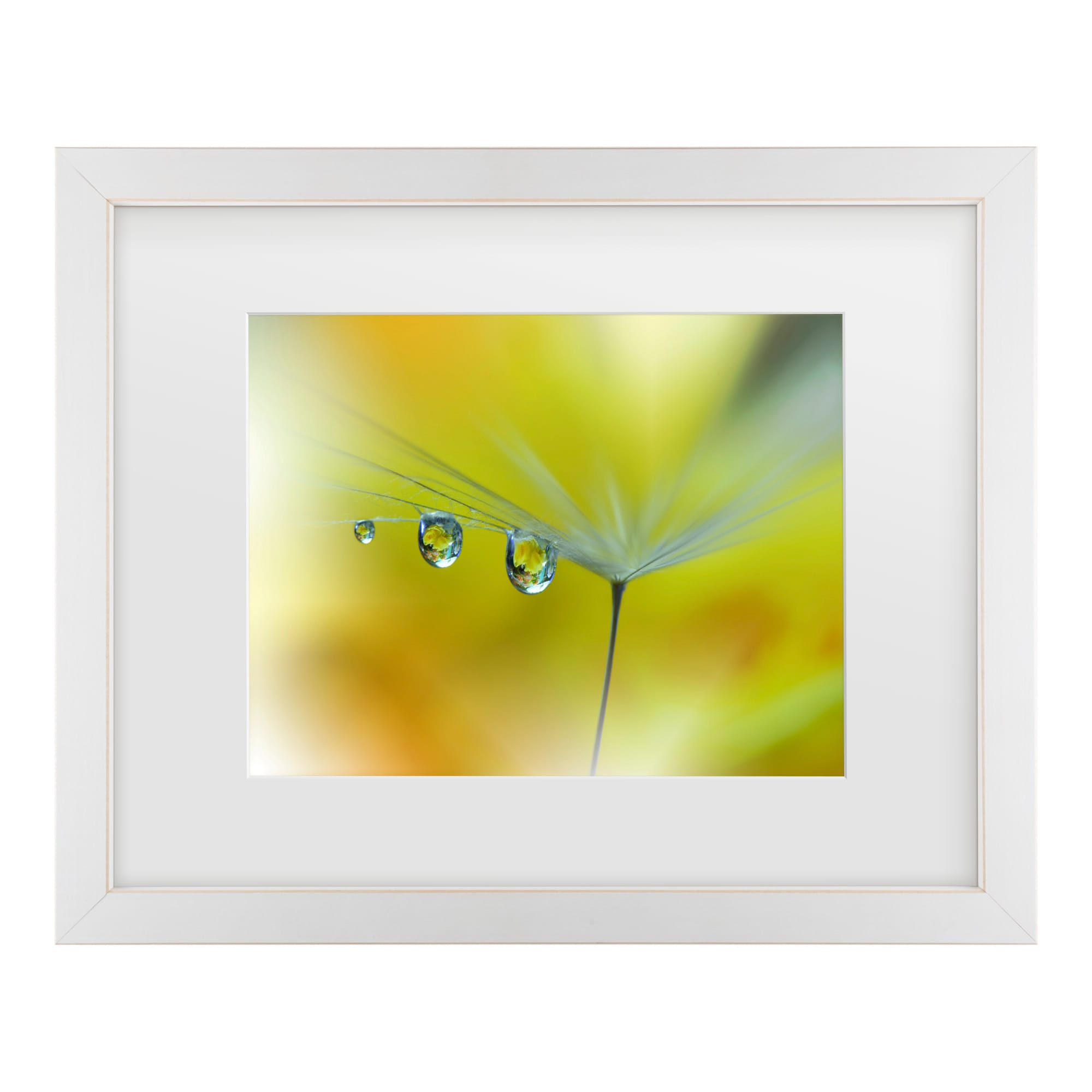 Trademark Fine Art 1X10921-E1620MF Wall-Art - View #2